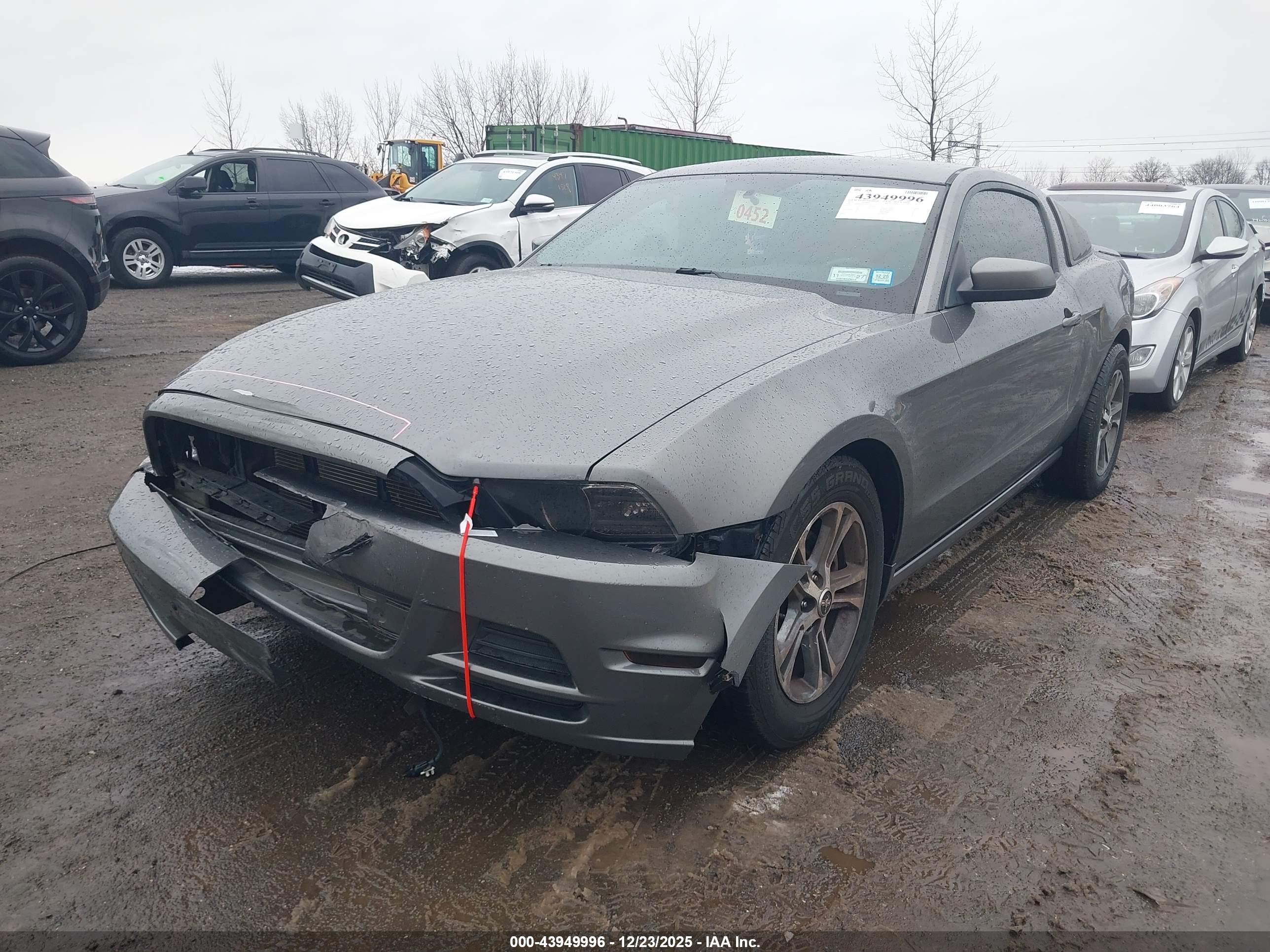 FORD MUSTANG image 6