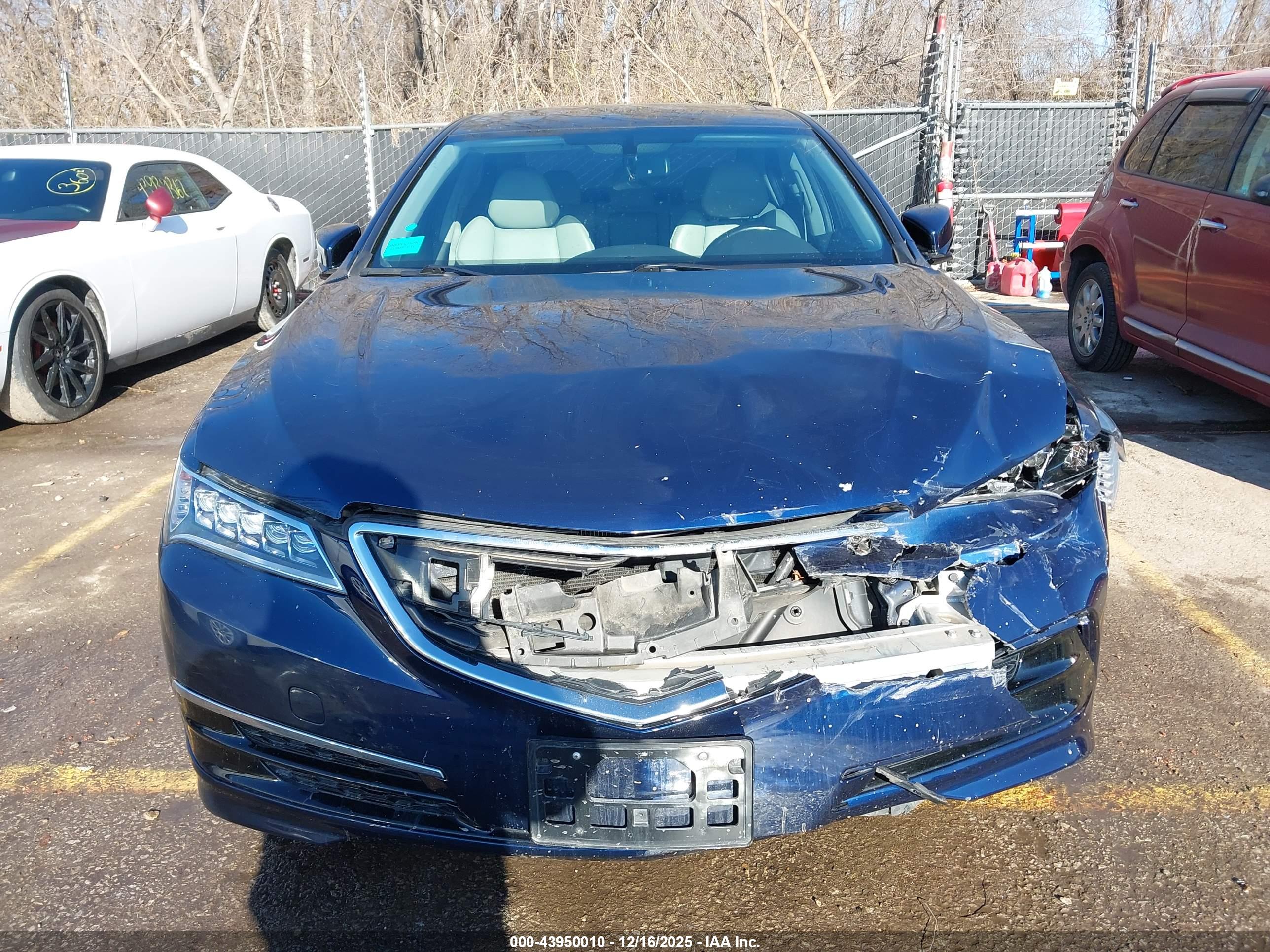 ACURA TLX image 6
