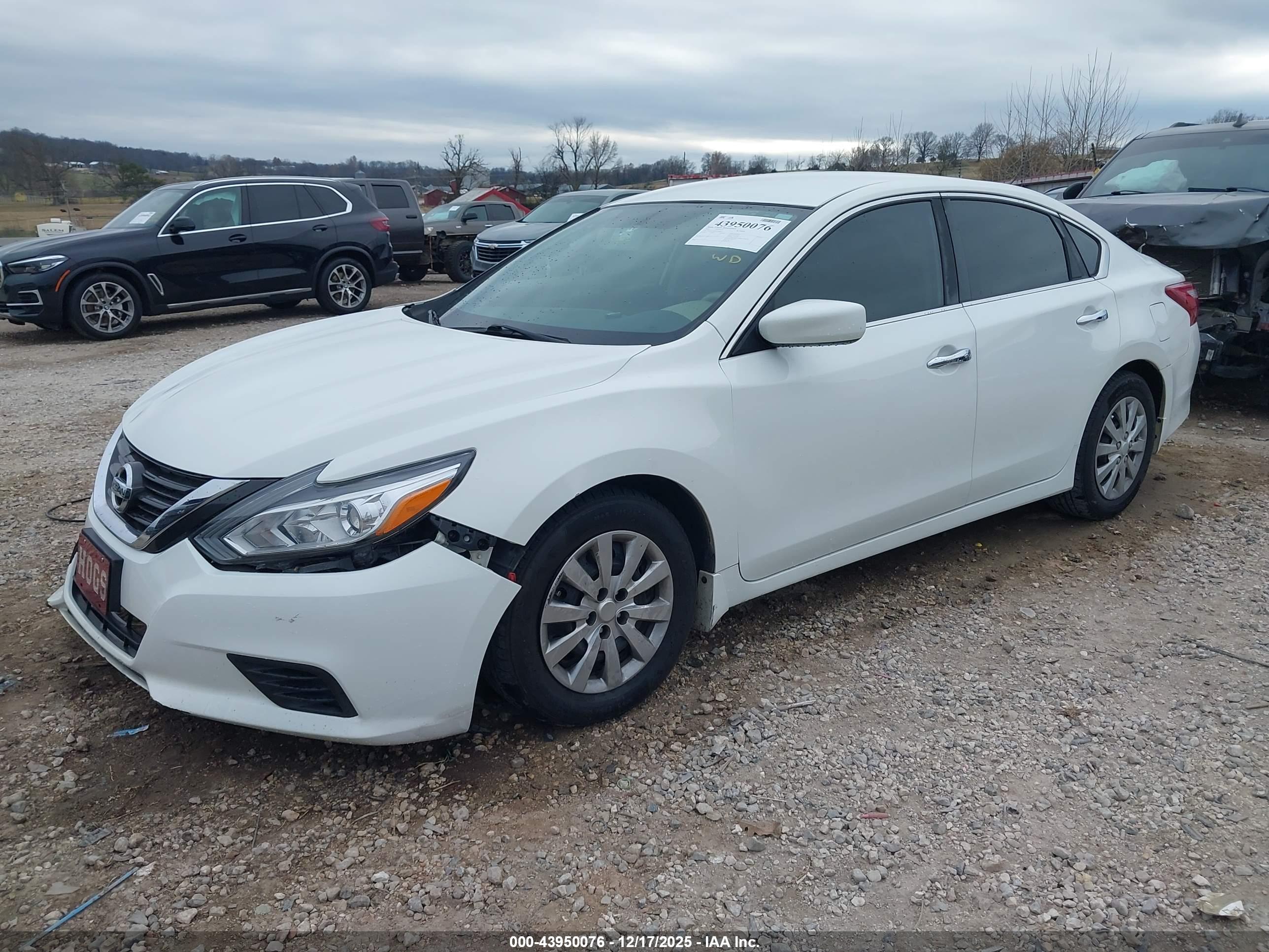 NISSAN ALTIMA image 2