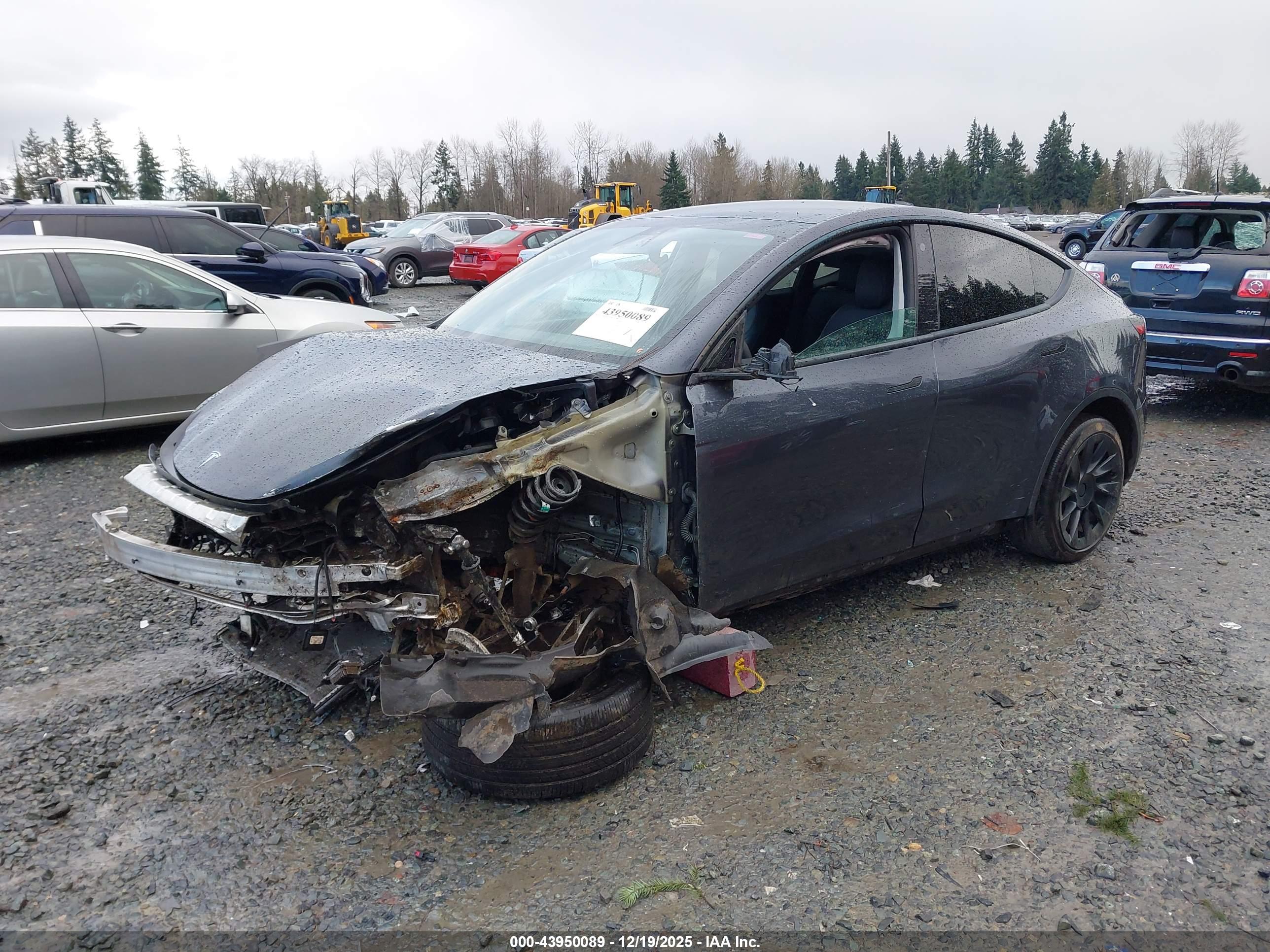 TESLA MODEL image 2