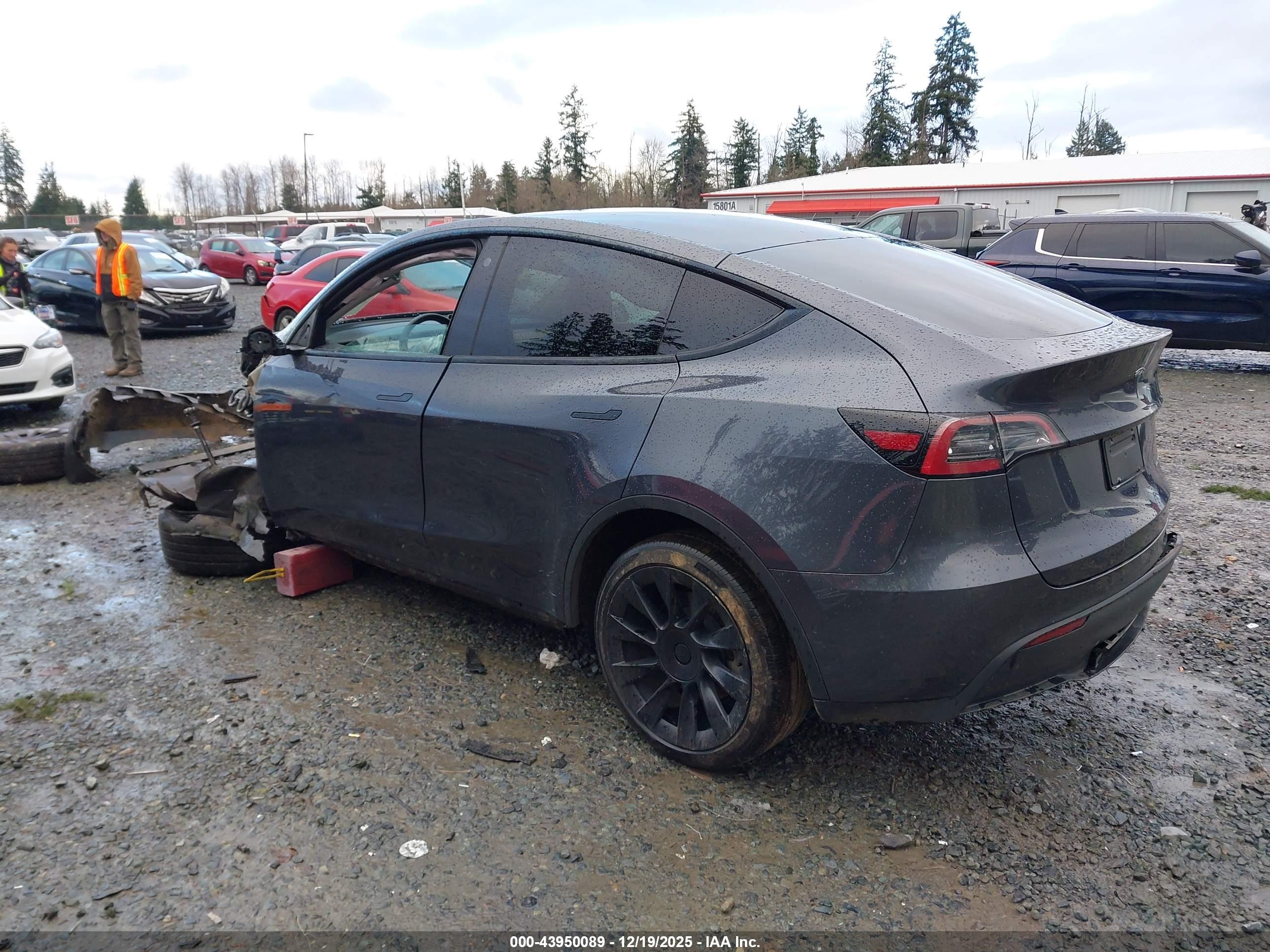 TESLA MODEL image 3