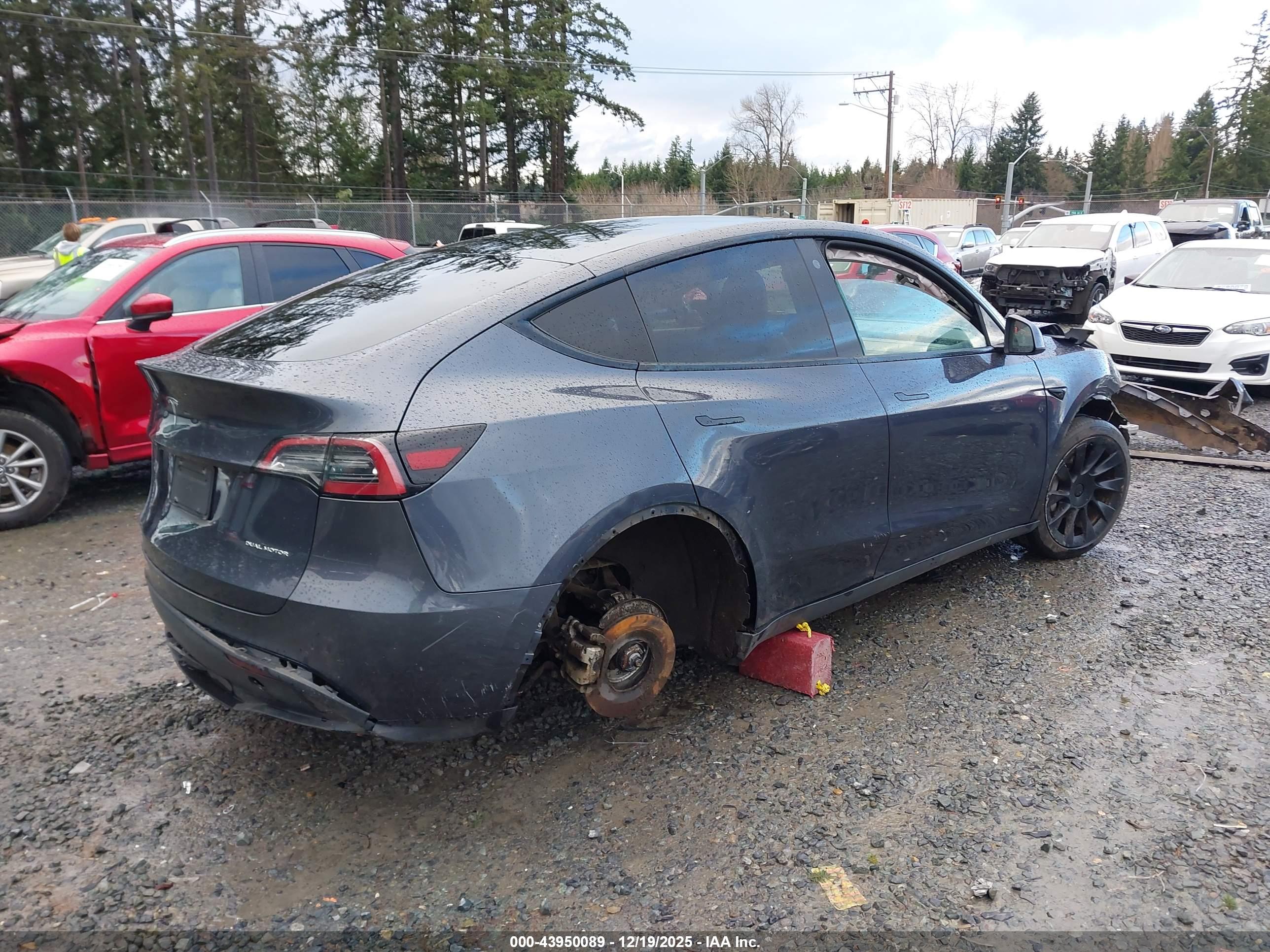 TESLA MODEL image 4