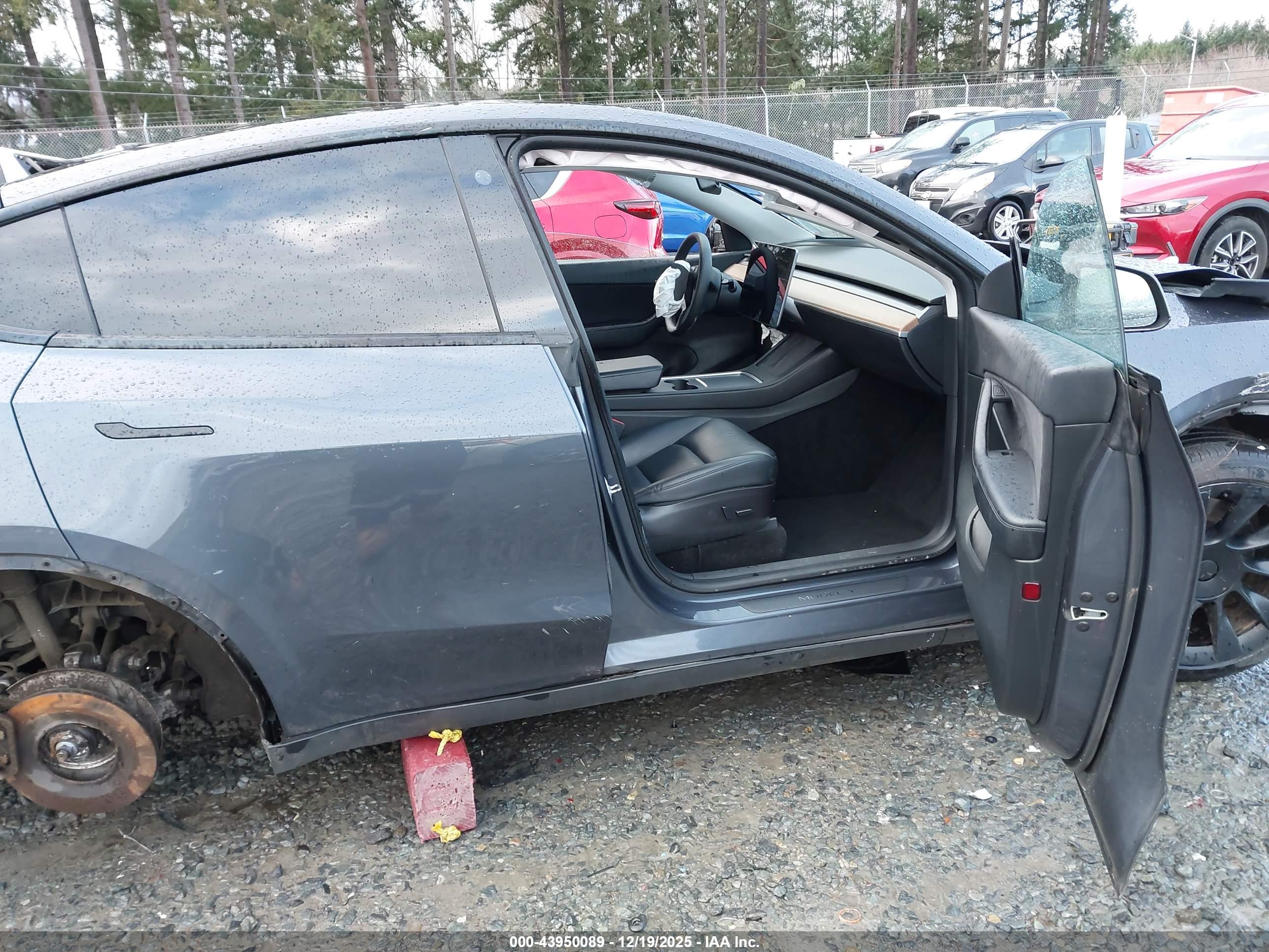 TESLA MODEL image 5