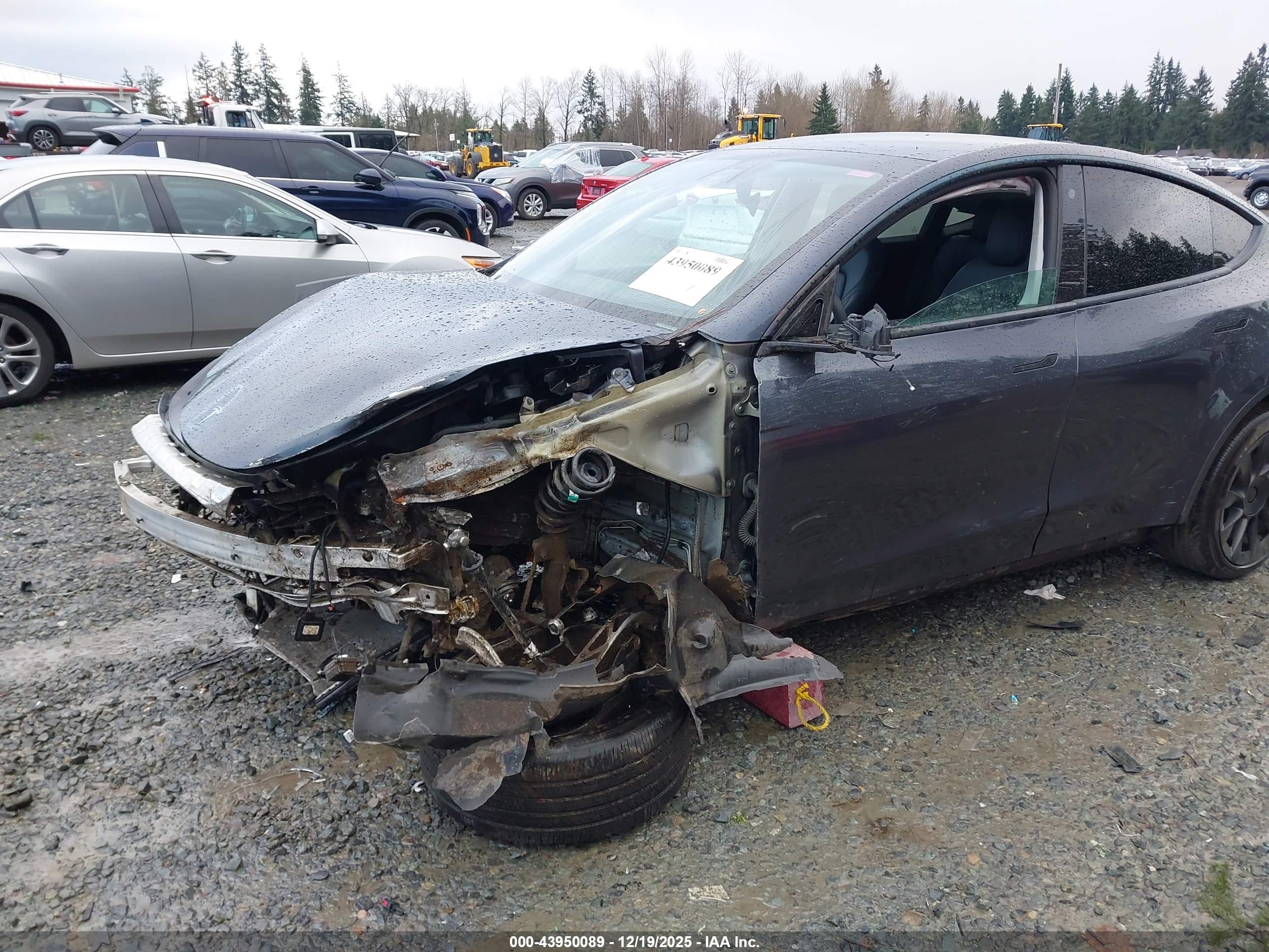 TESLA MODEL image 6