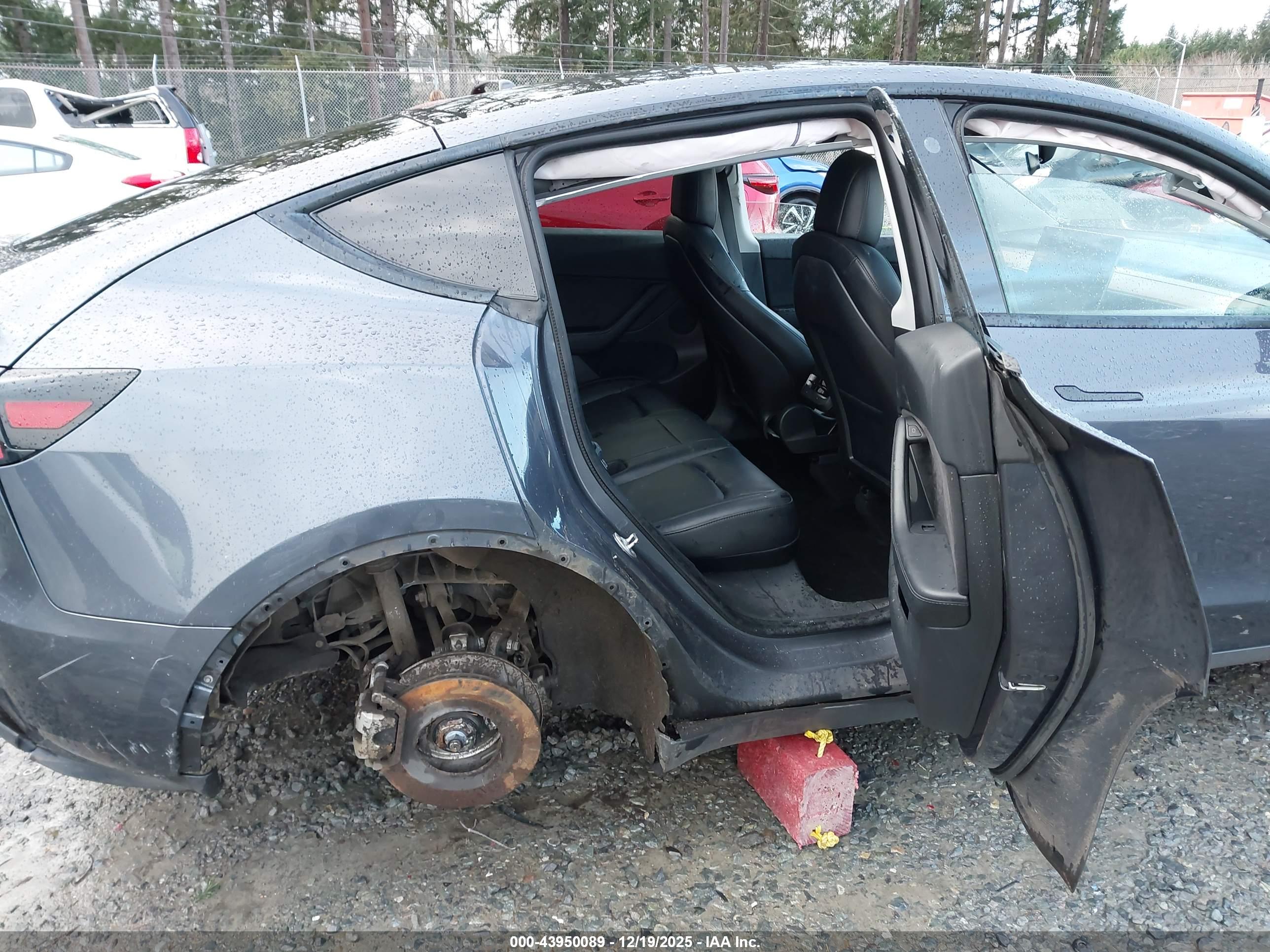 TESLA MODEL image 8