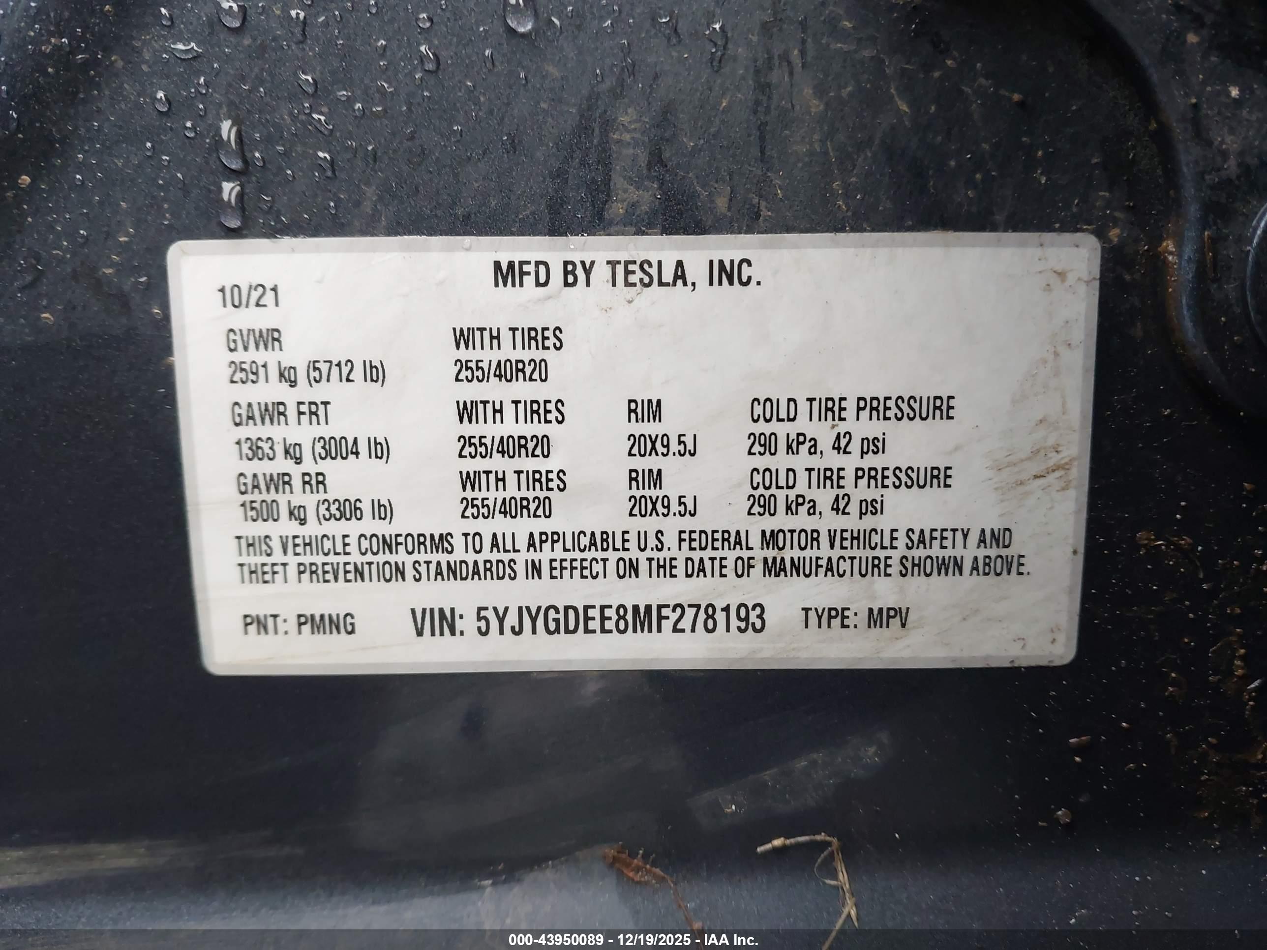 TESLA MODEL image 9