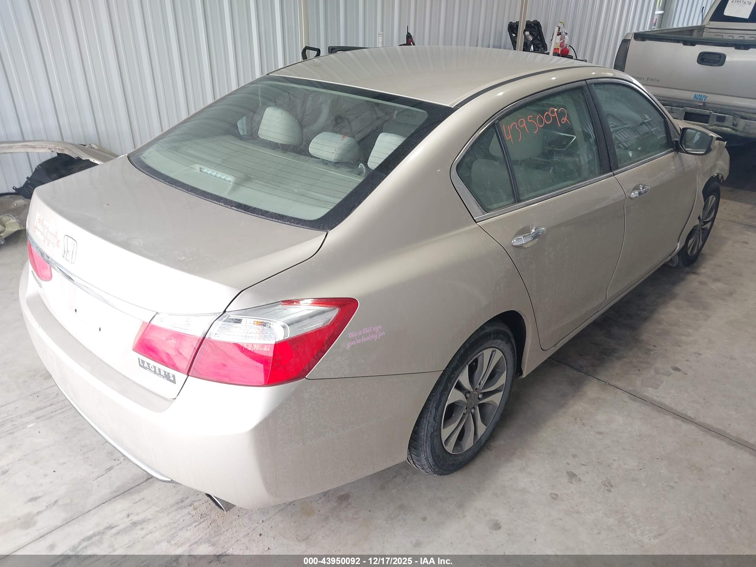 HONDA ACCORD image 4