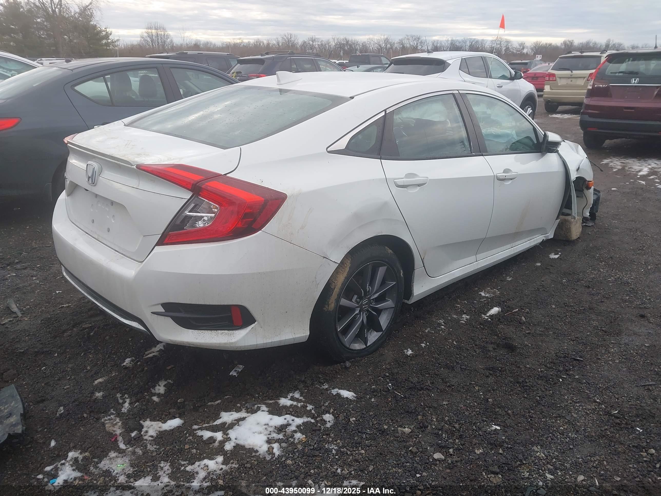 HONDA CIVIC image 4