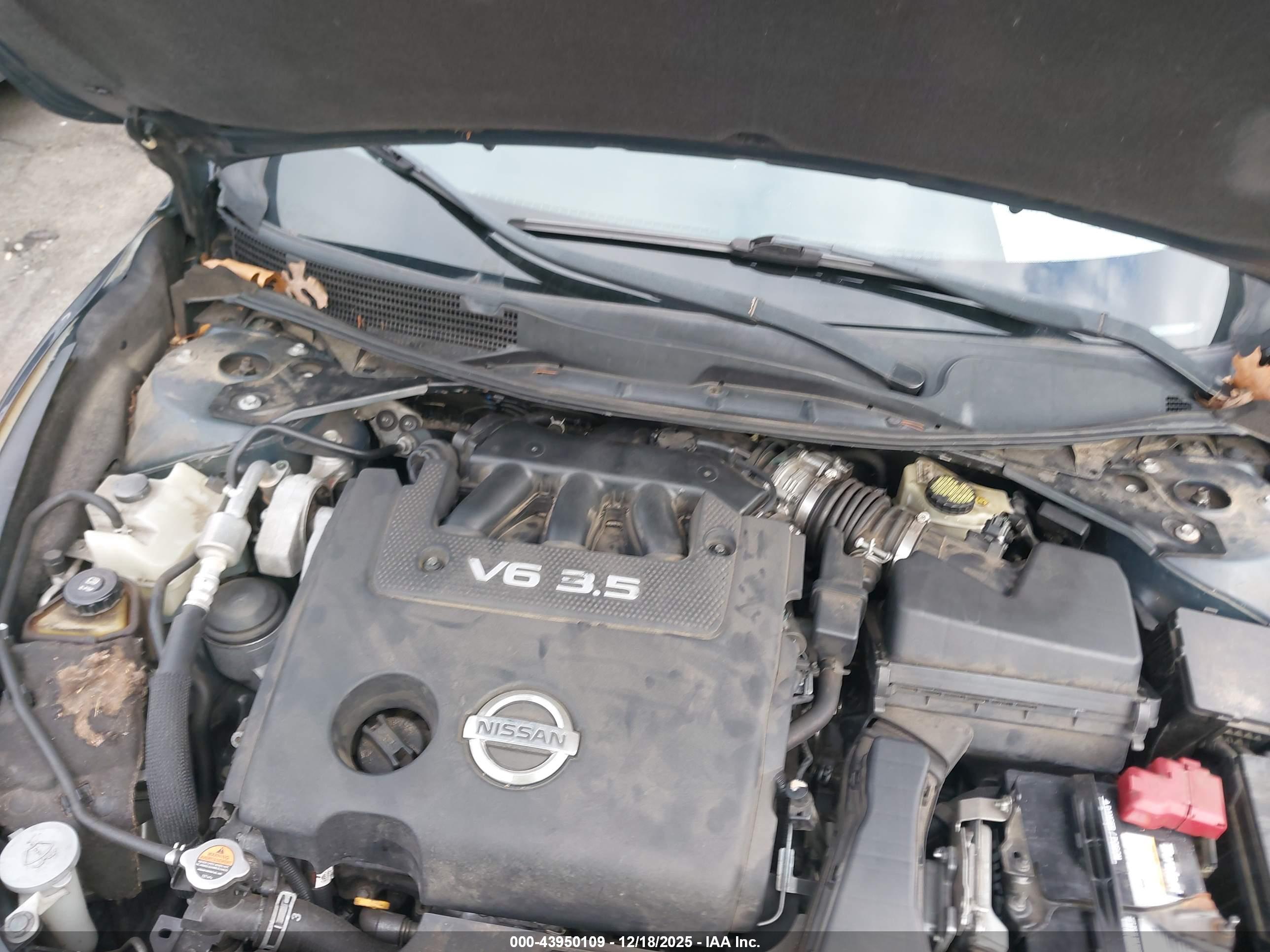 NISSAN ALTIMA image 10