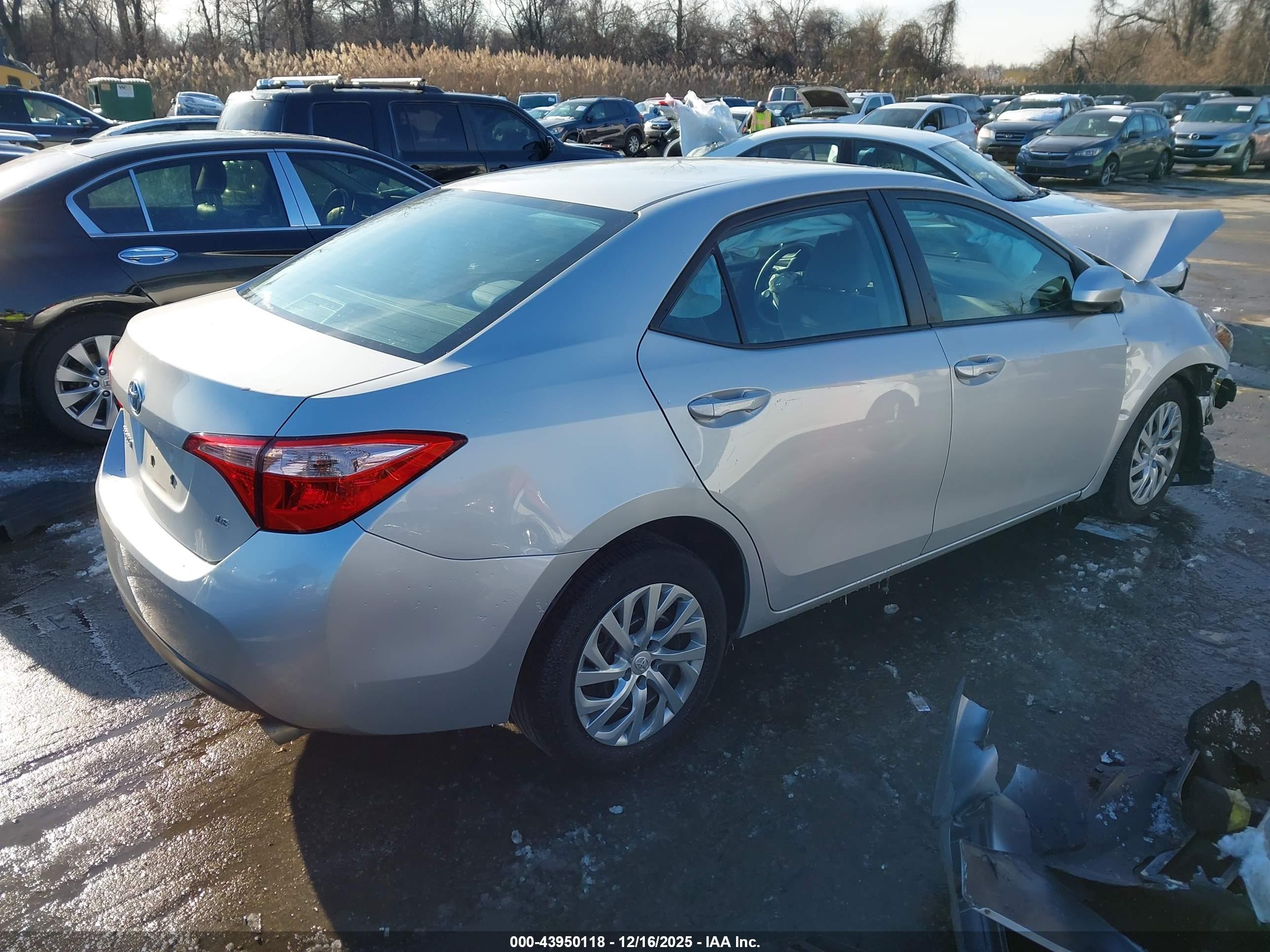 TOYOTA COROLLA image 4