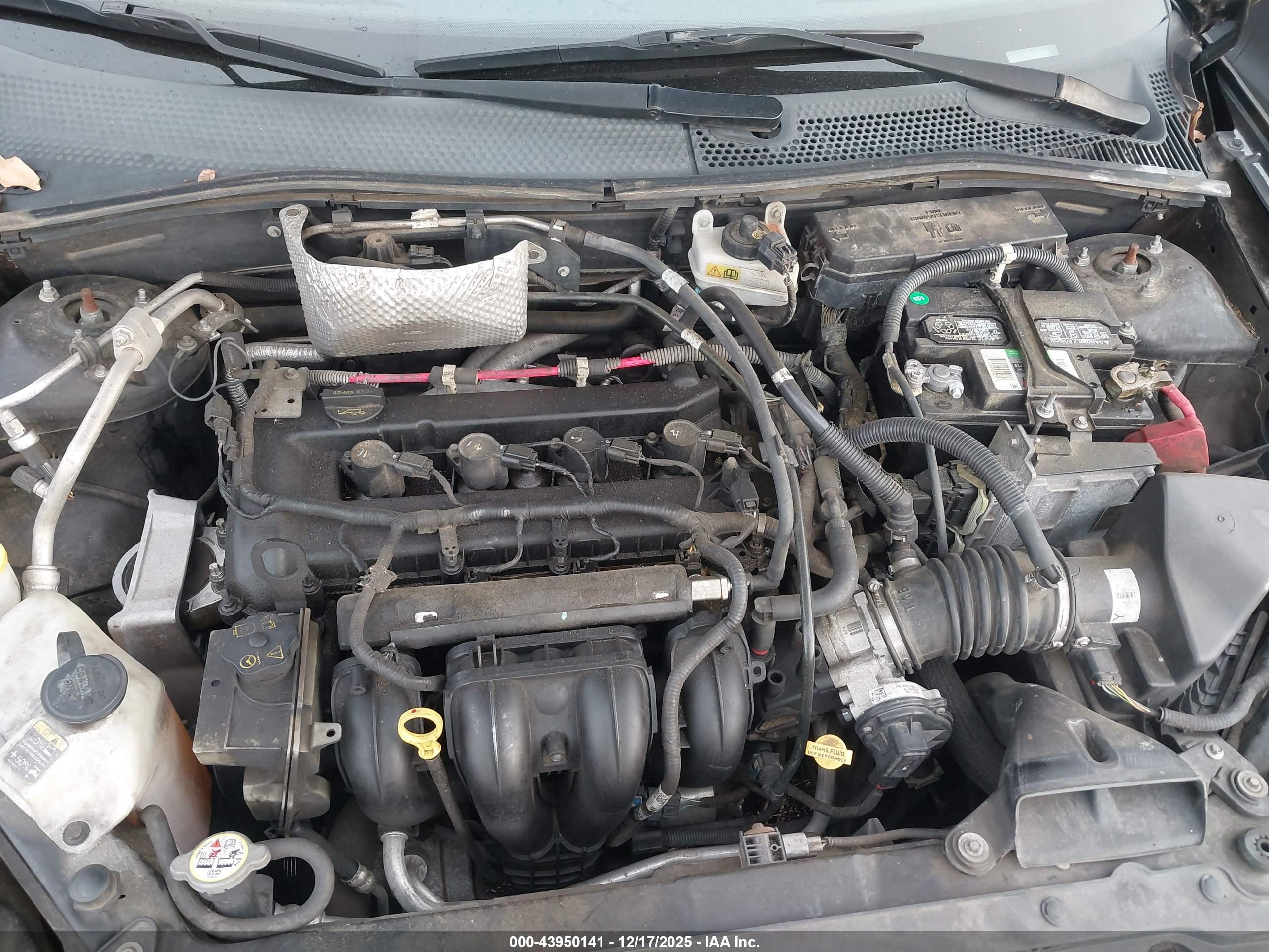 FORD FOCUS image 10