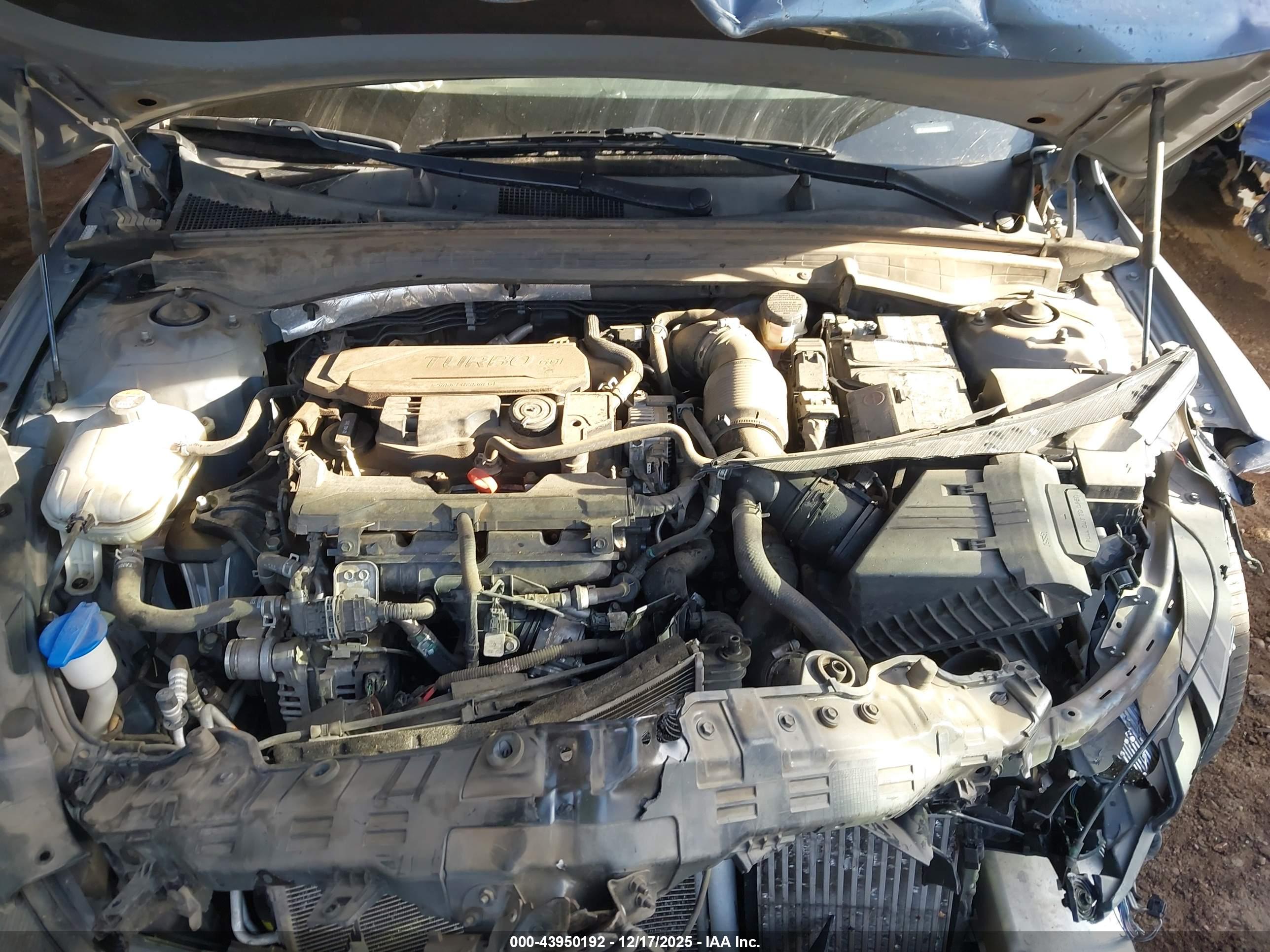 KIA K5 image 10