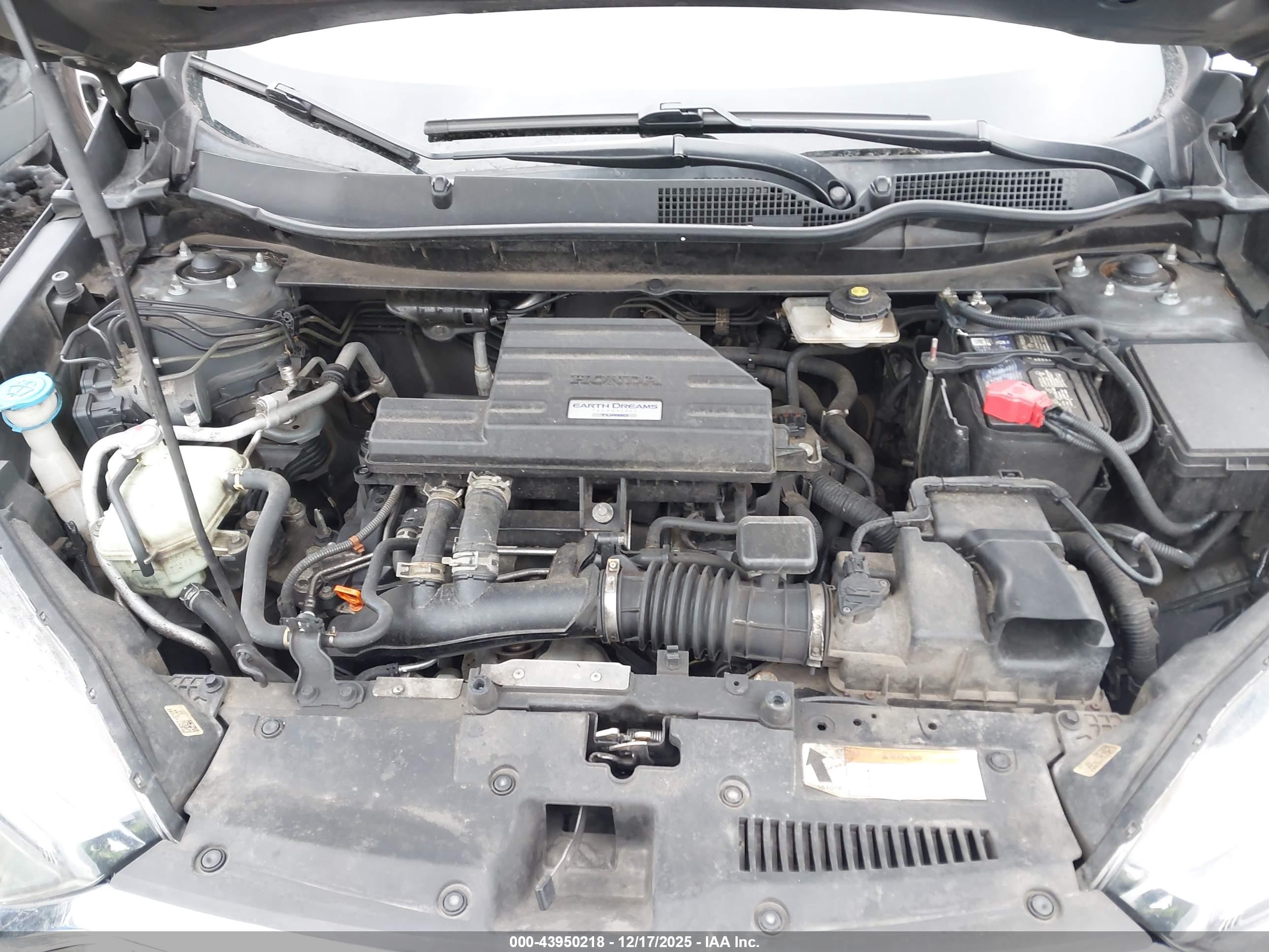 HONDA CR-V image 10