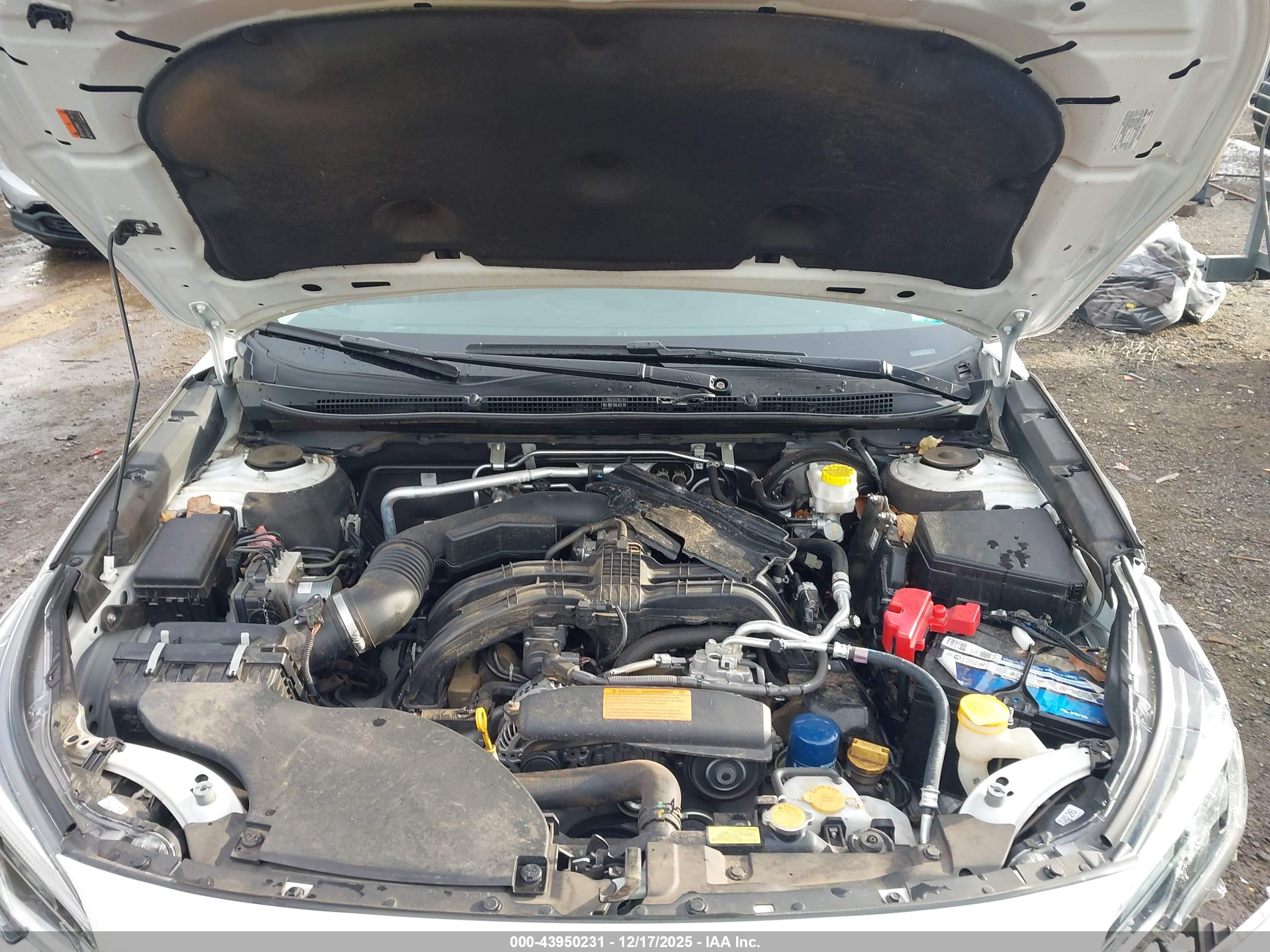 SUBARU OUTBACK image 10