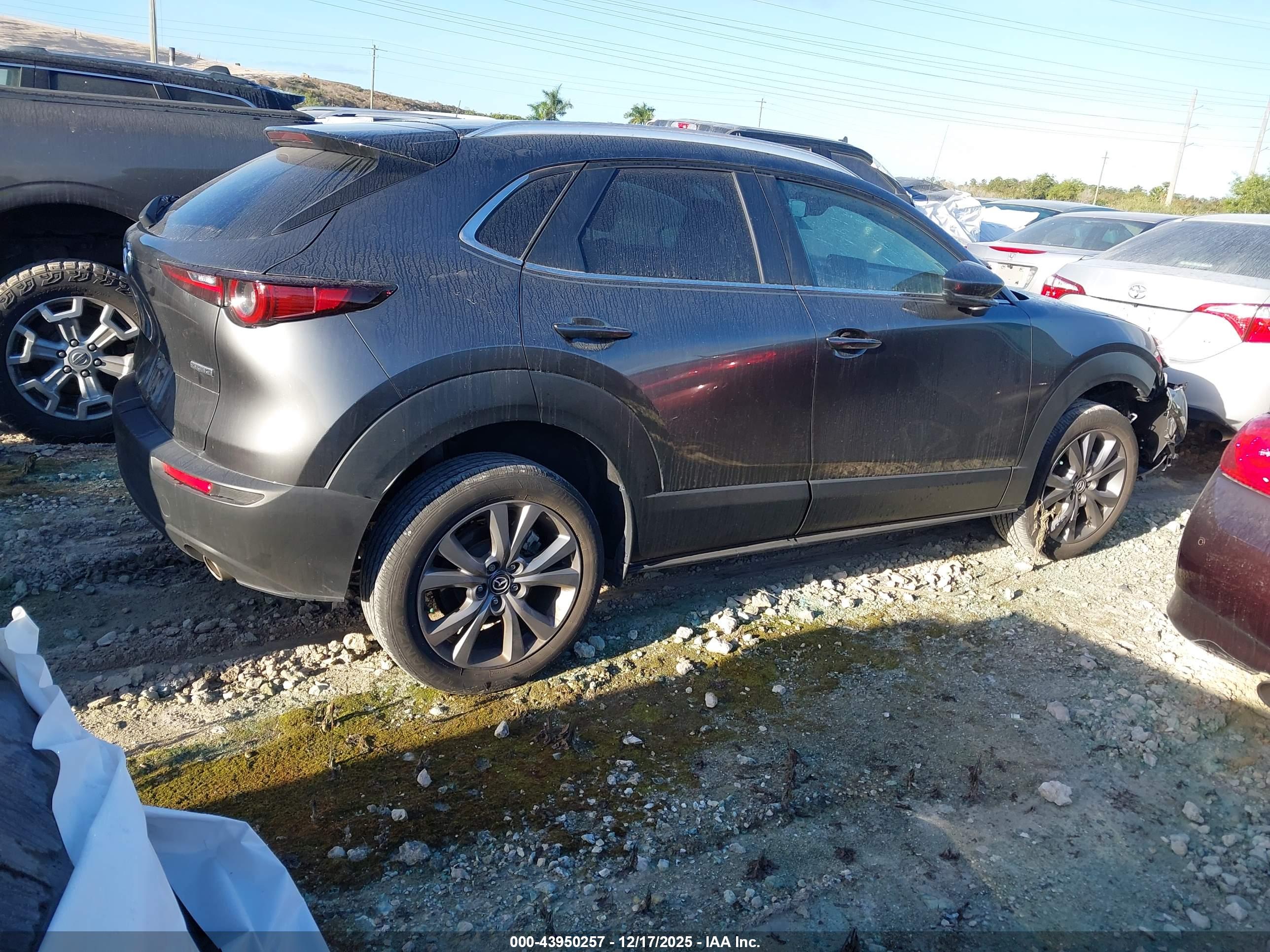 MAZDA CX-30 image 4