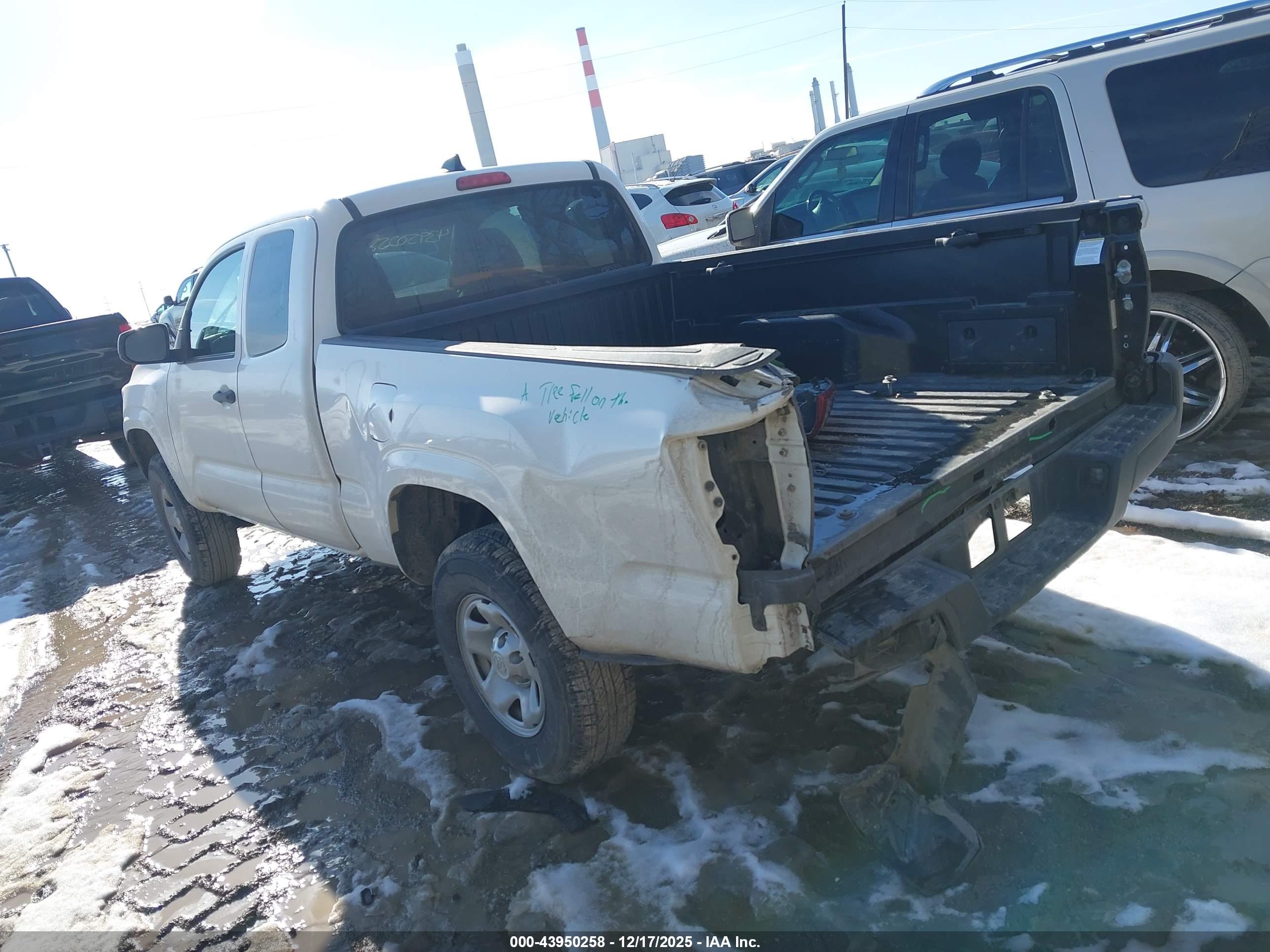 TOYOTA TACOMA image 3