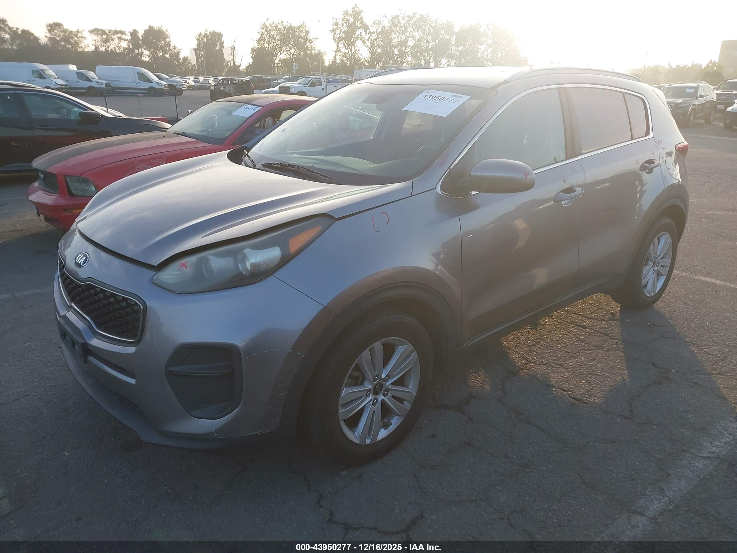 KIA SPORTAGE image 2