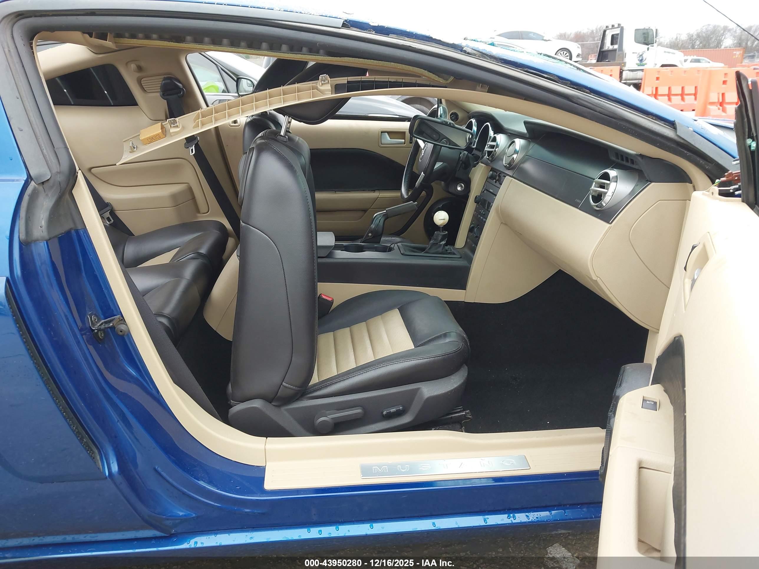 FORD MUSTANG image 5