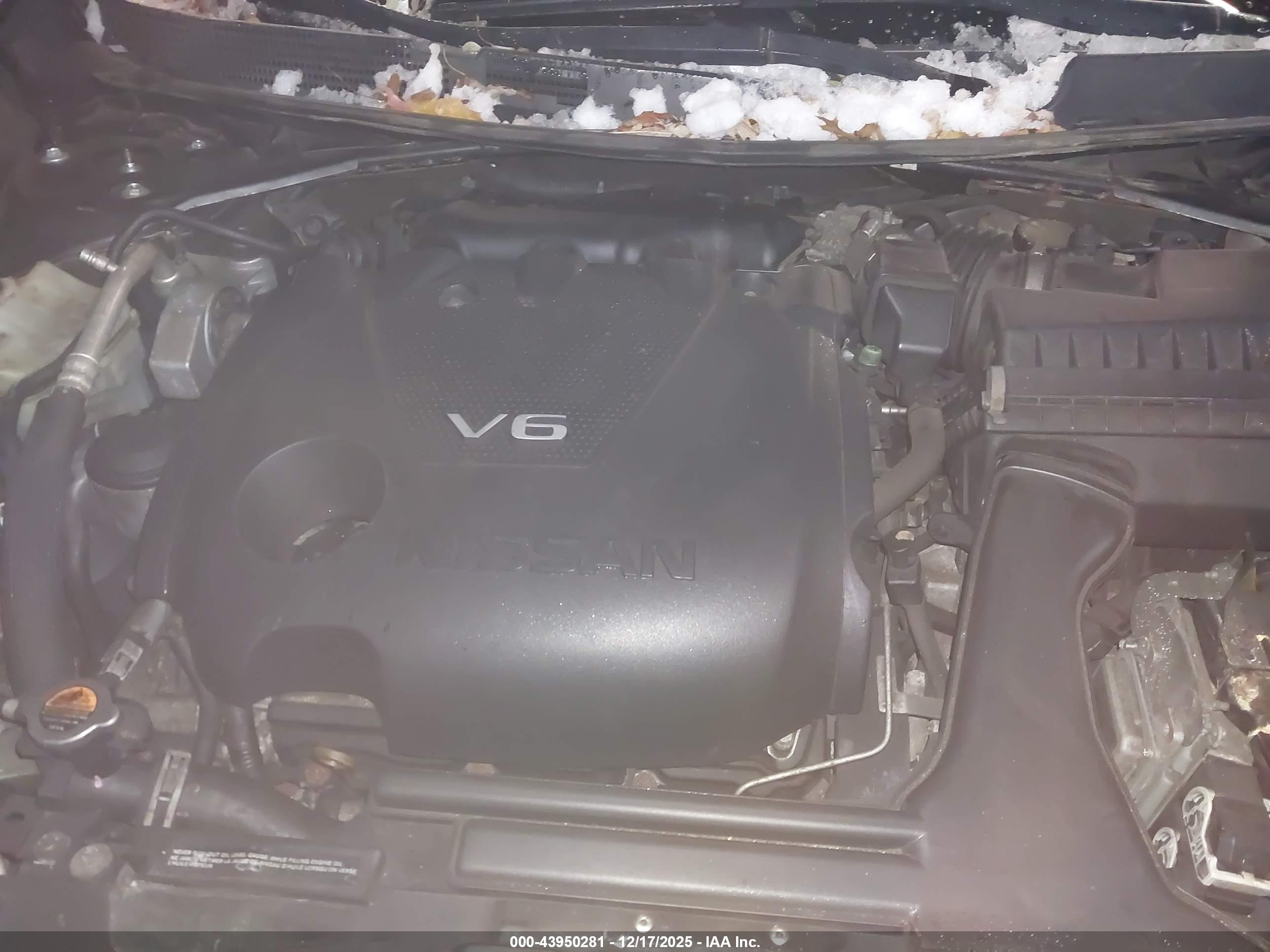 NISSAN MAXIMA image 10