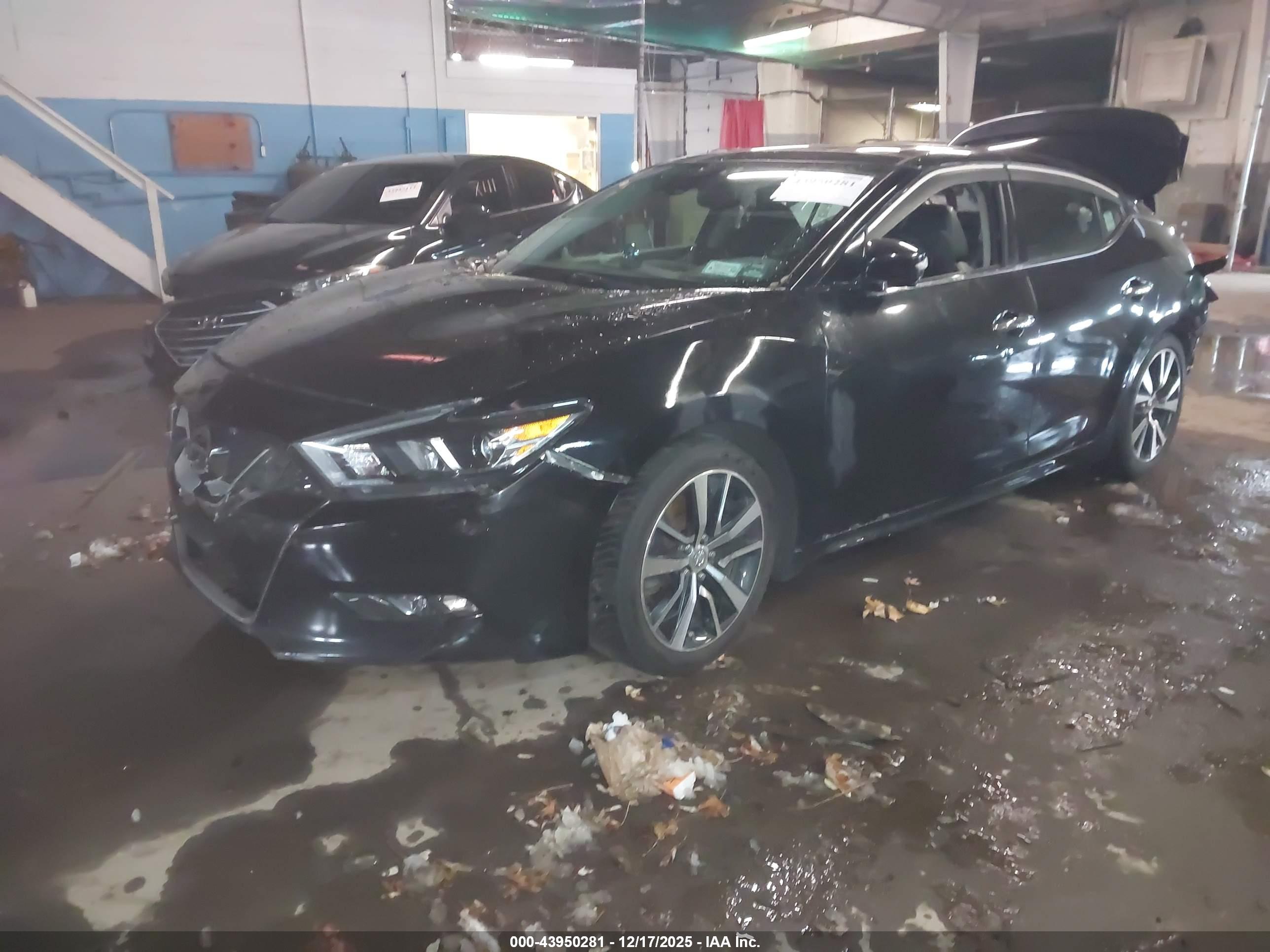 NISSAN MAXIMA image 2