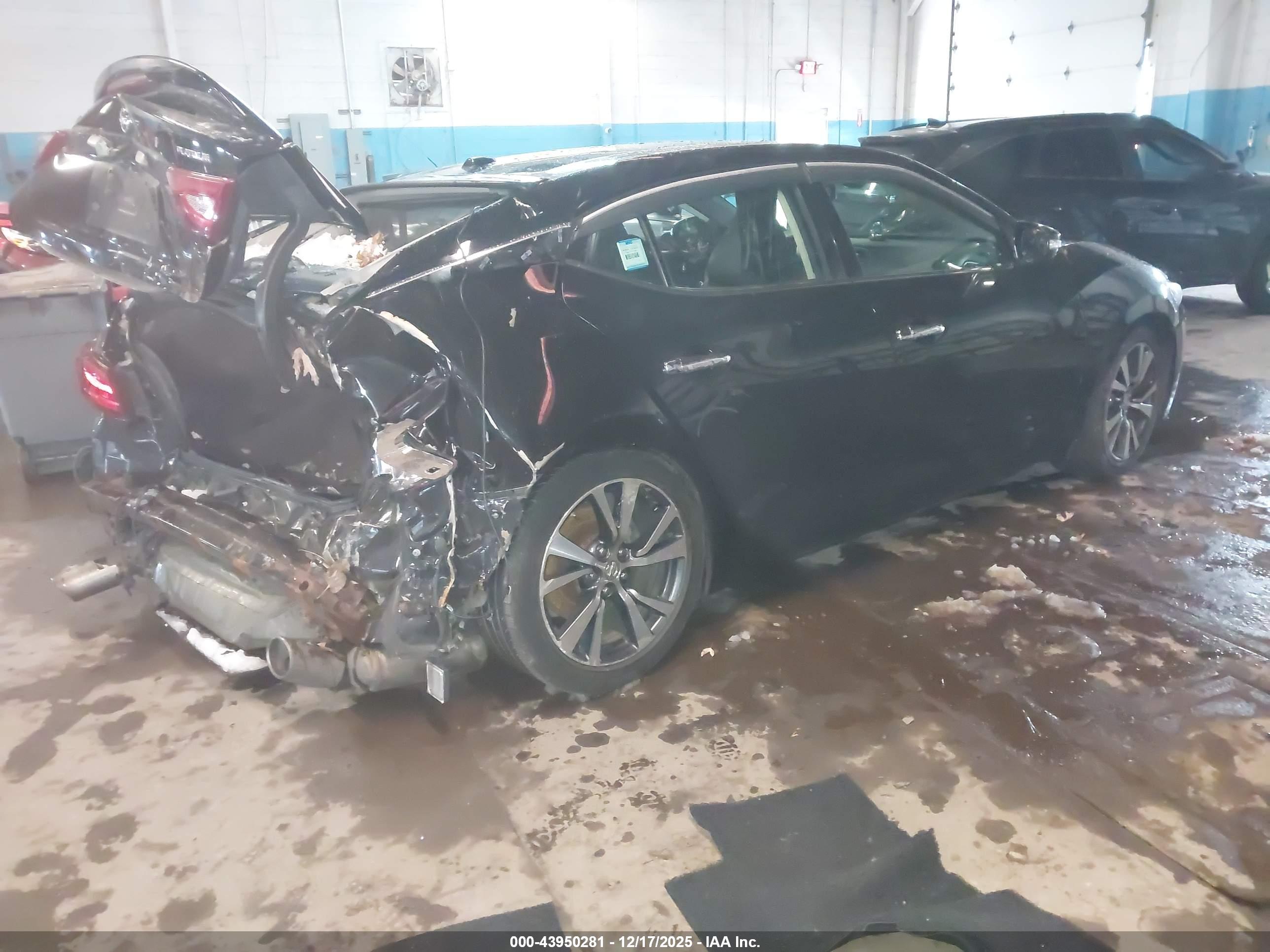 NISSAN MAXIMA image 4