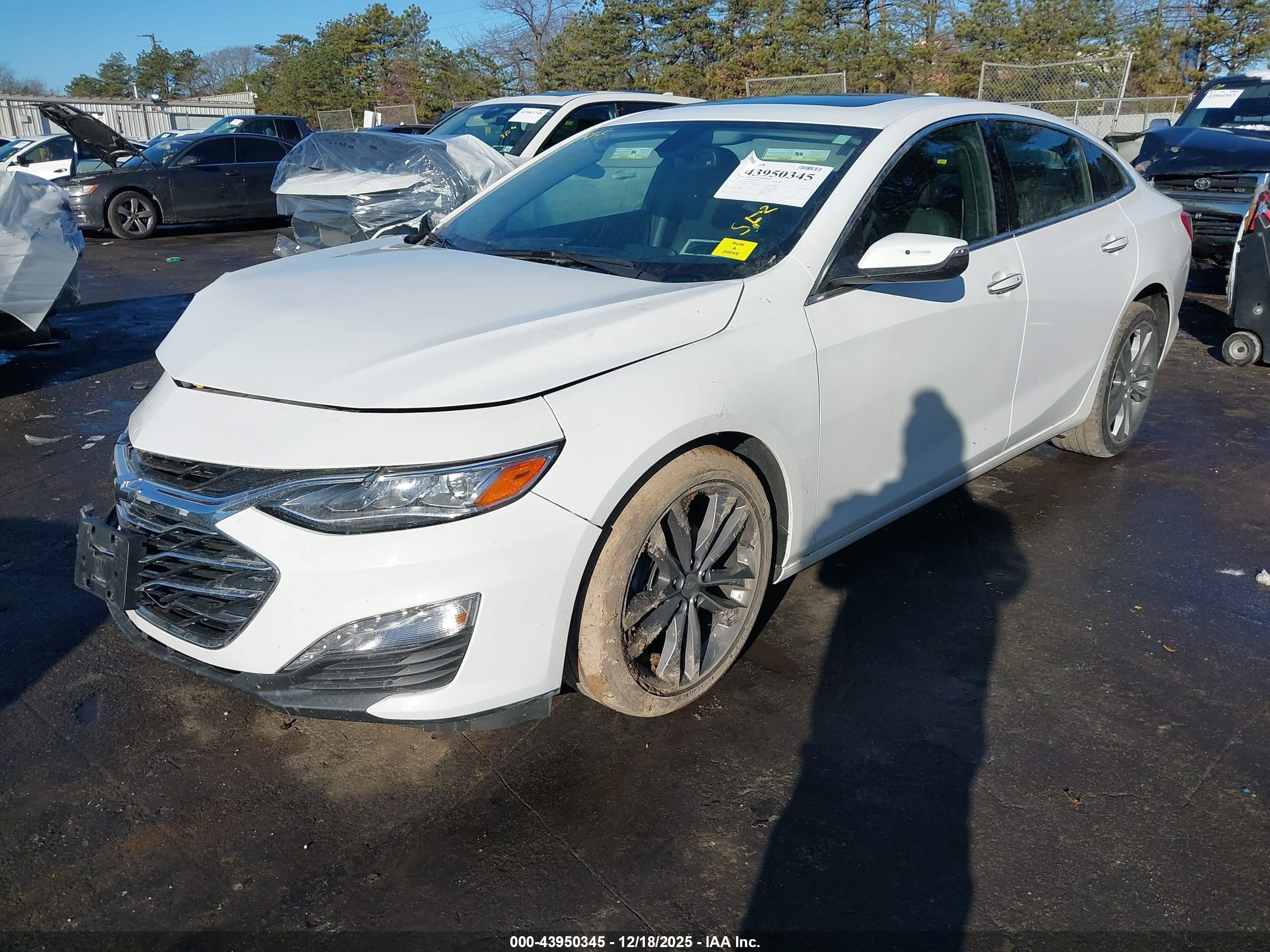 CHEVROLET MALIBU image 2