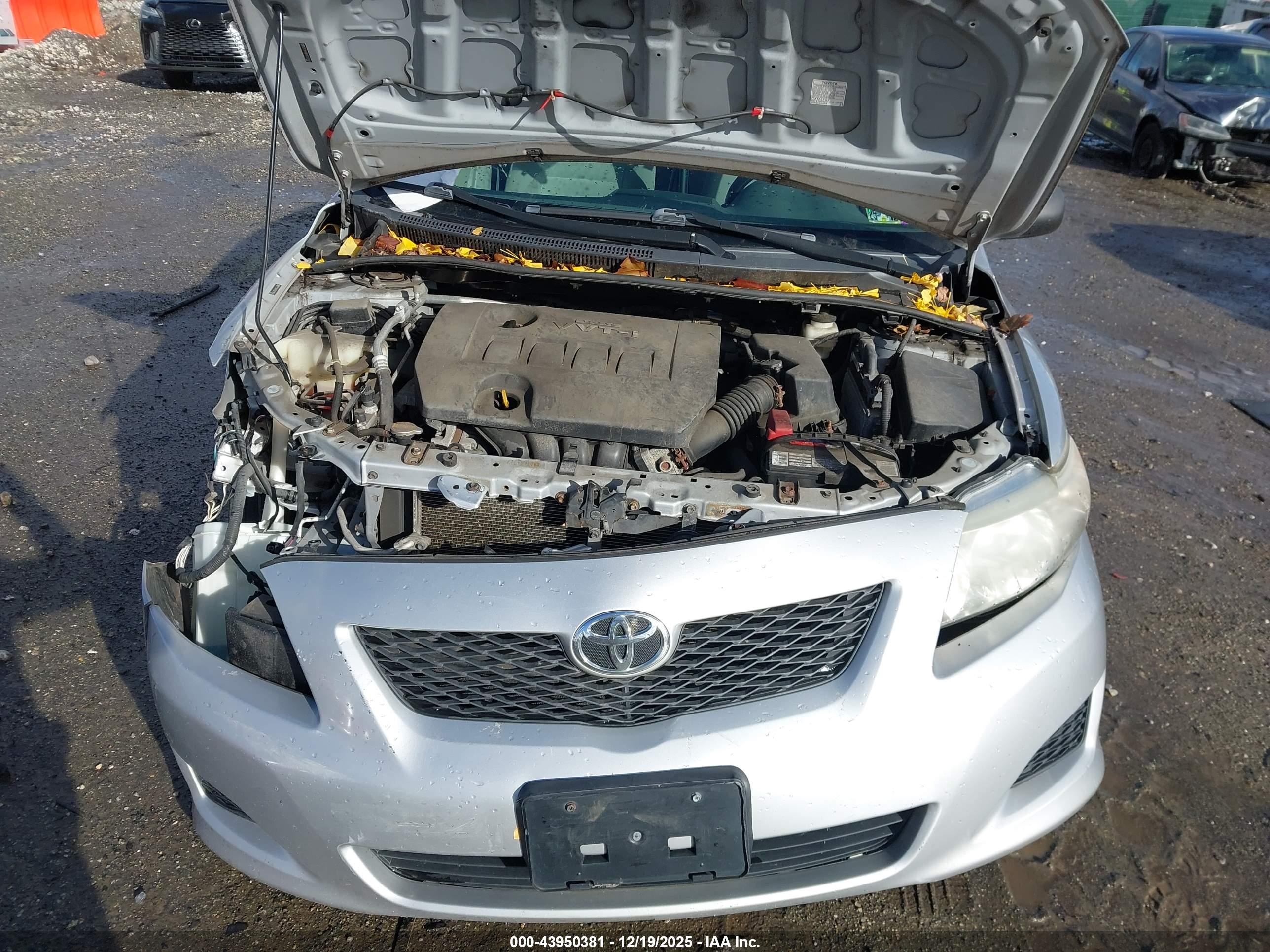 TOYOTA COROLLA image 10