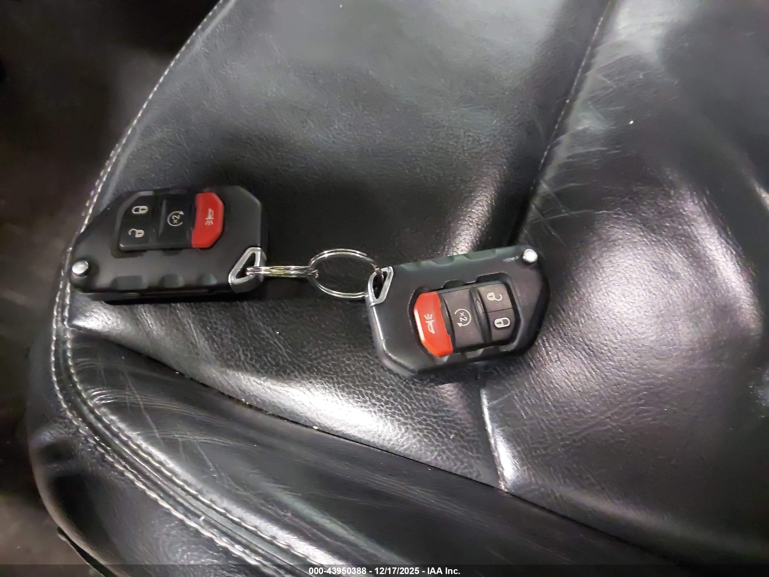 JEEP WRANGLER image 11