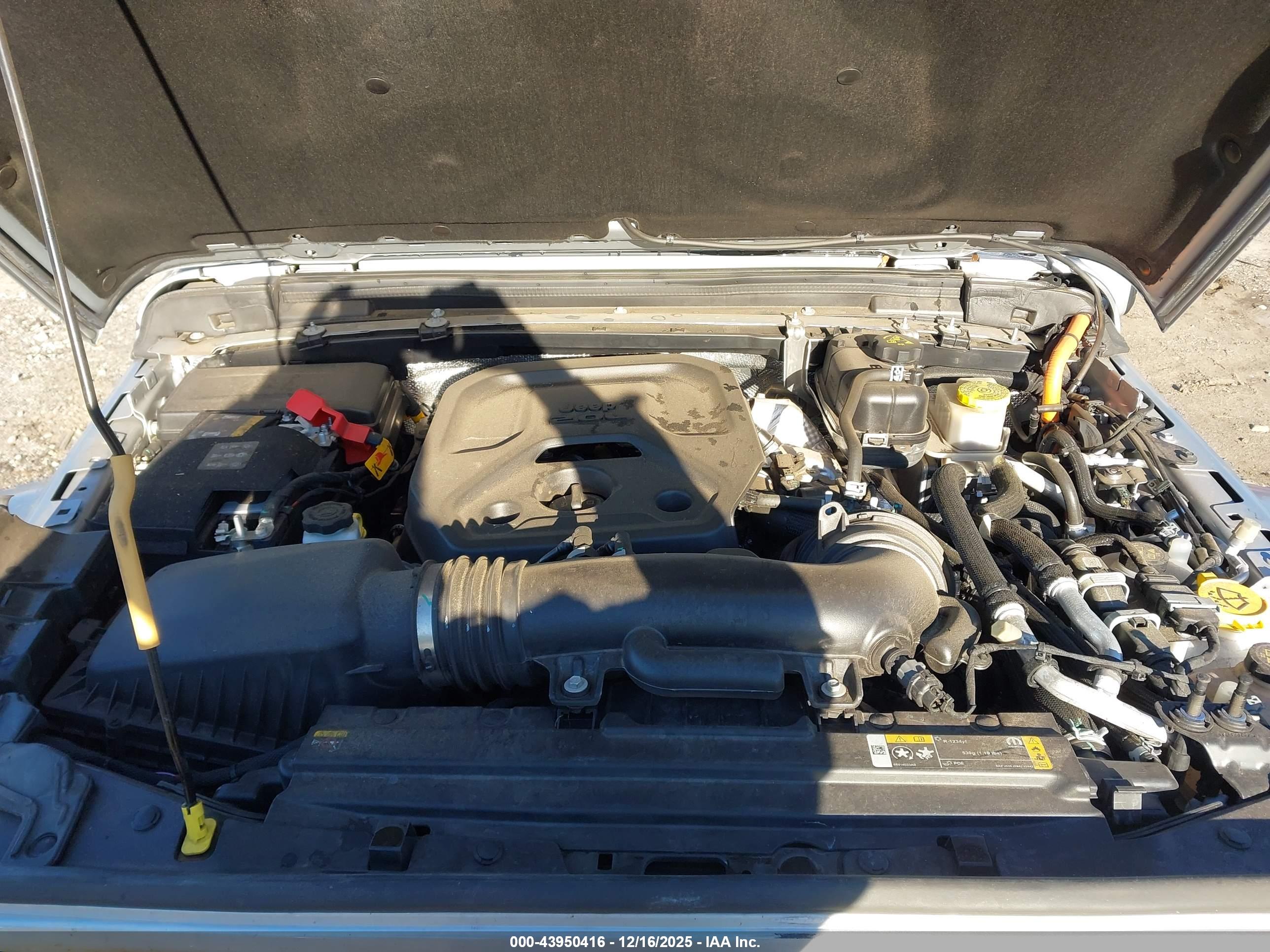 JEEP WRANGLER image 10