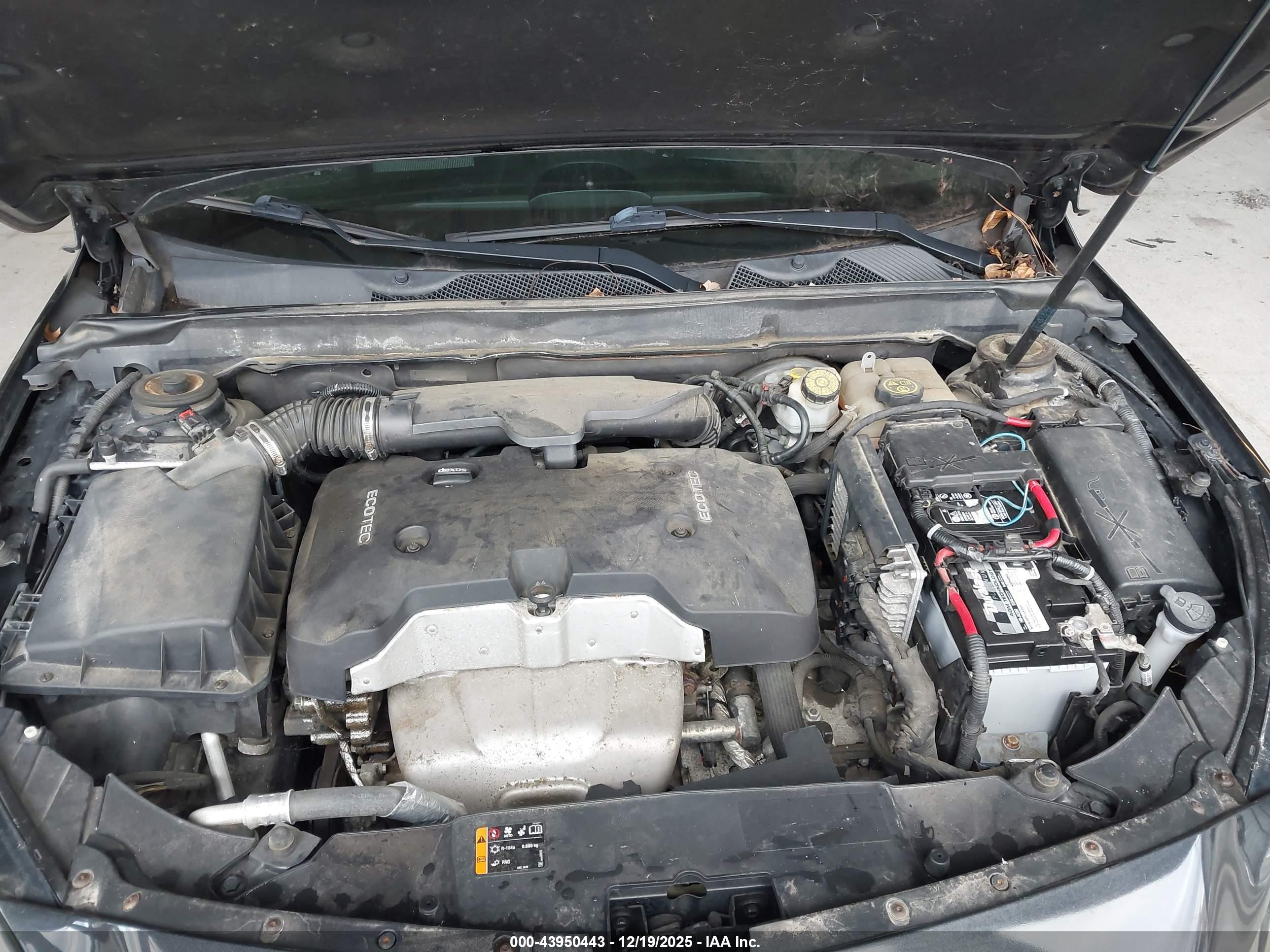 CHEVROLET MALIBU image 6