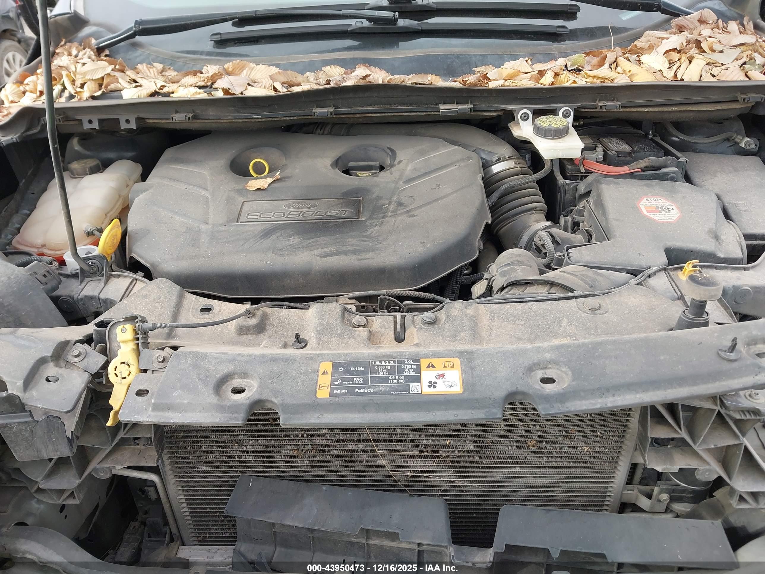 FORD ESCAPE image 10