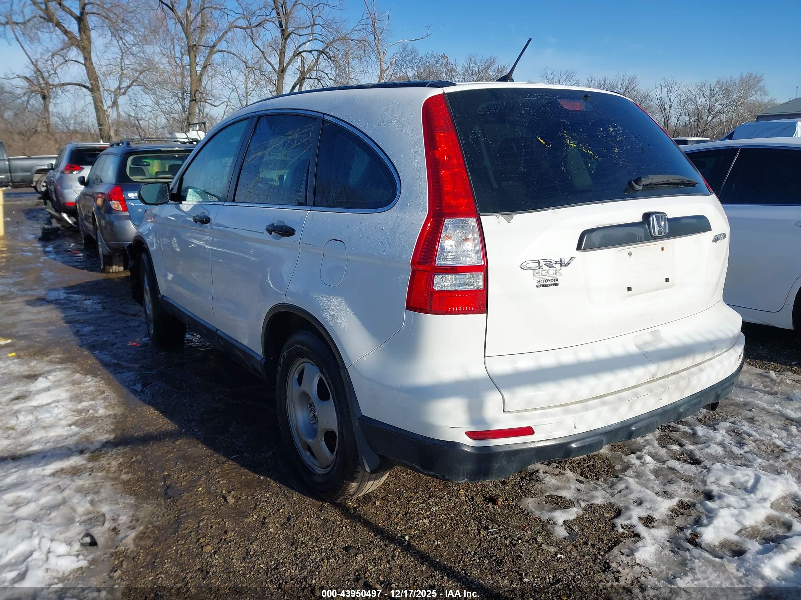 HONDA CR-V image 3
