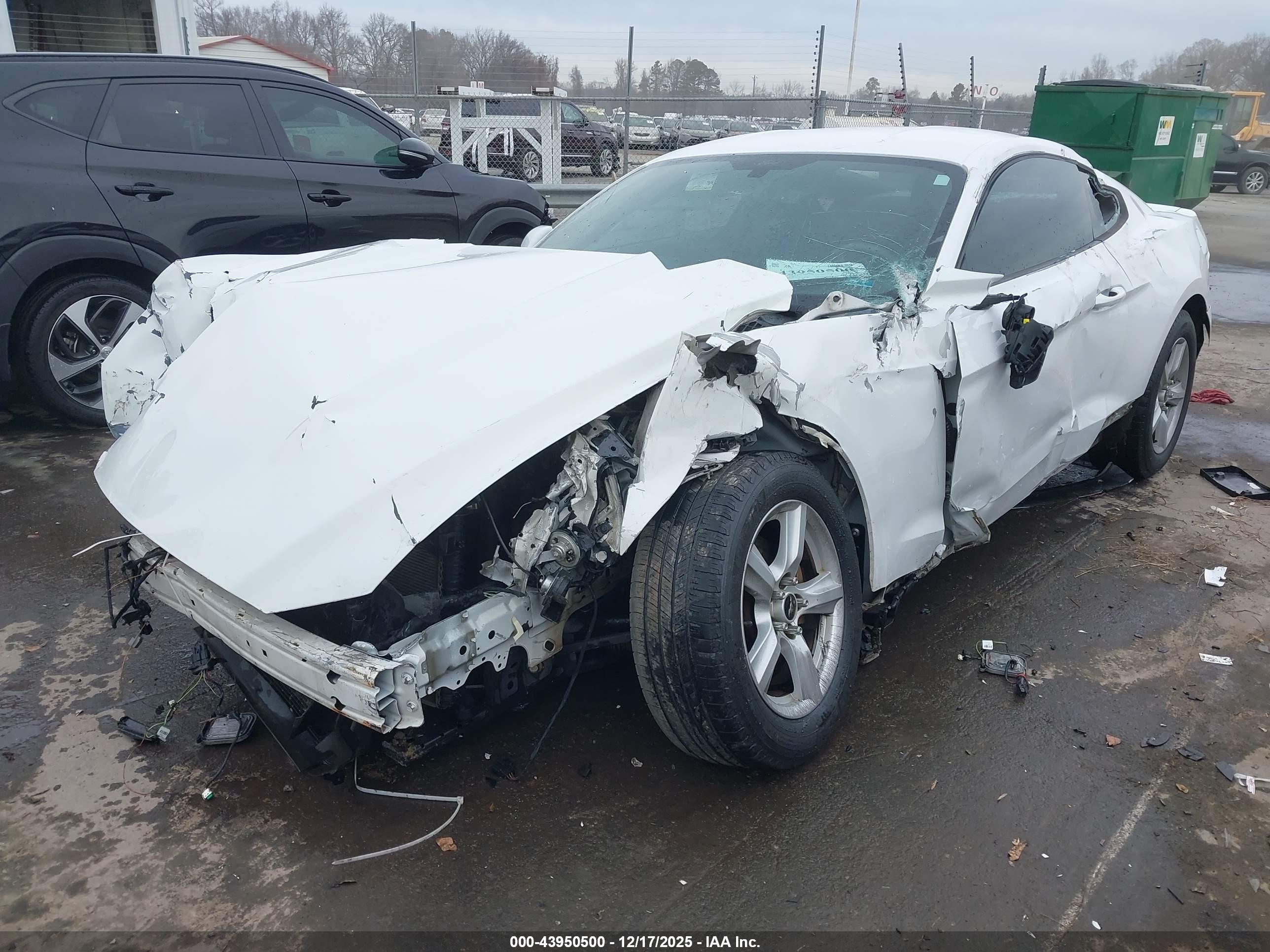 FORD MUSTANG image 2