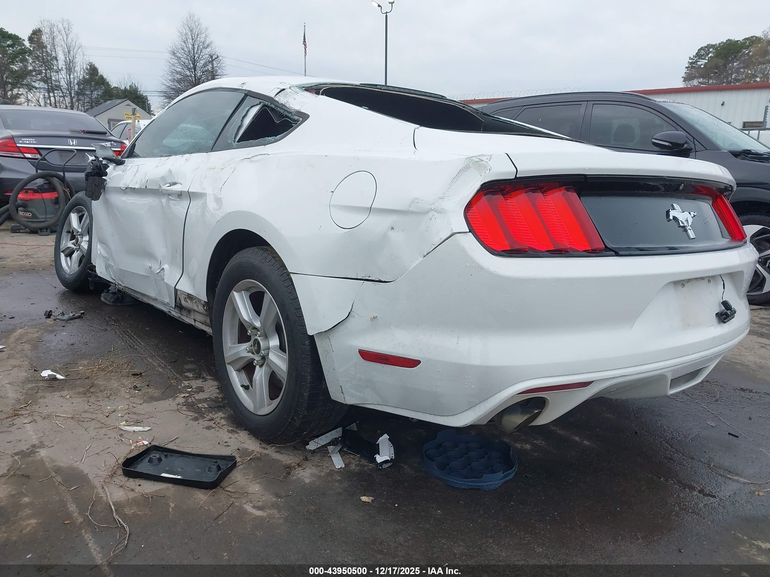 FORD MUSTANG image 3