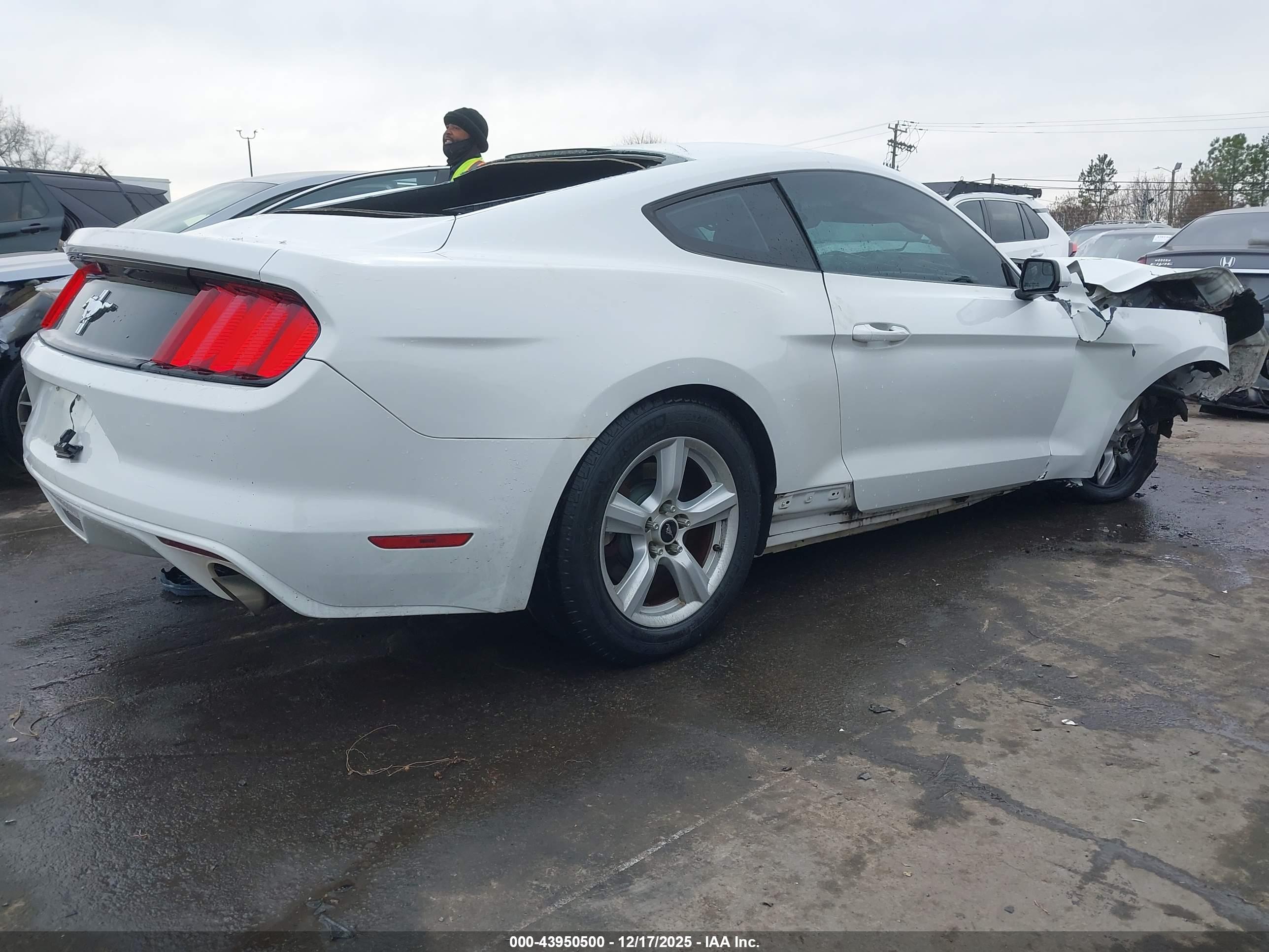 FORD MUSTANG image 4