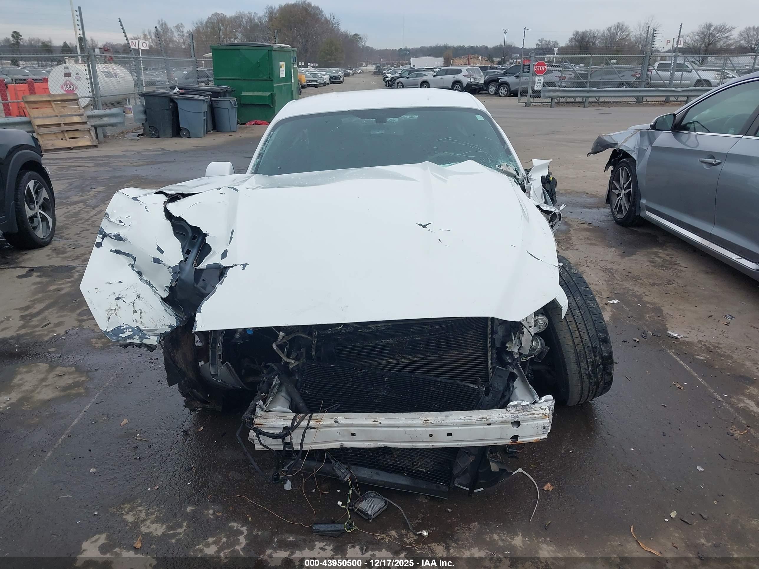 FORD MUSTANG image 6
