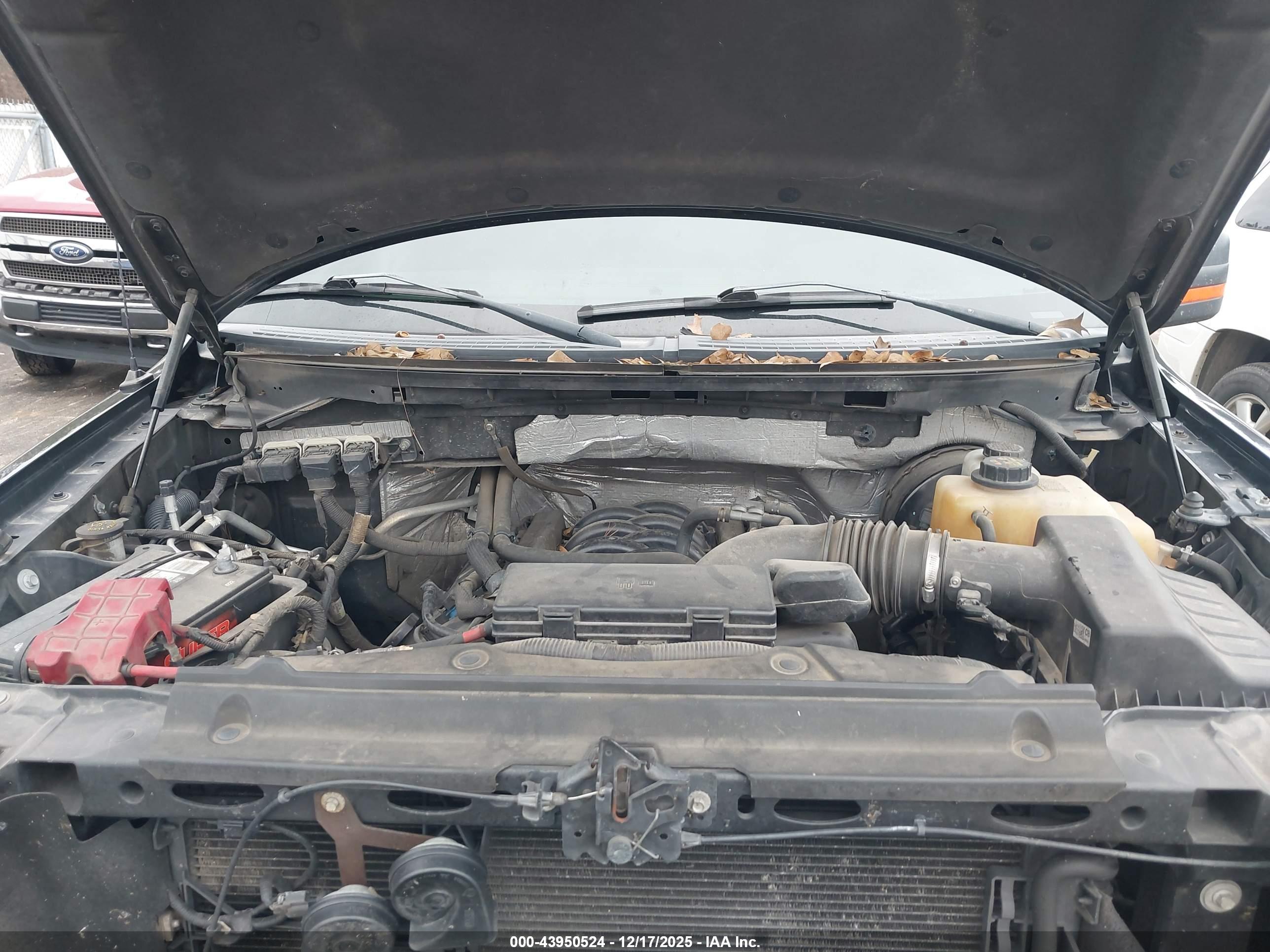 FORD F-150 image 10