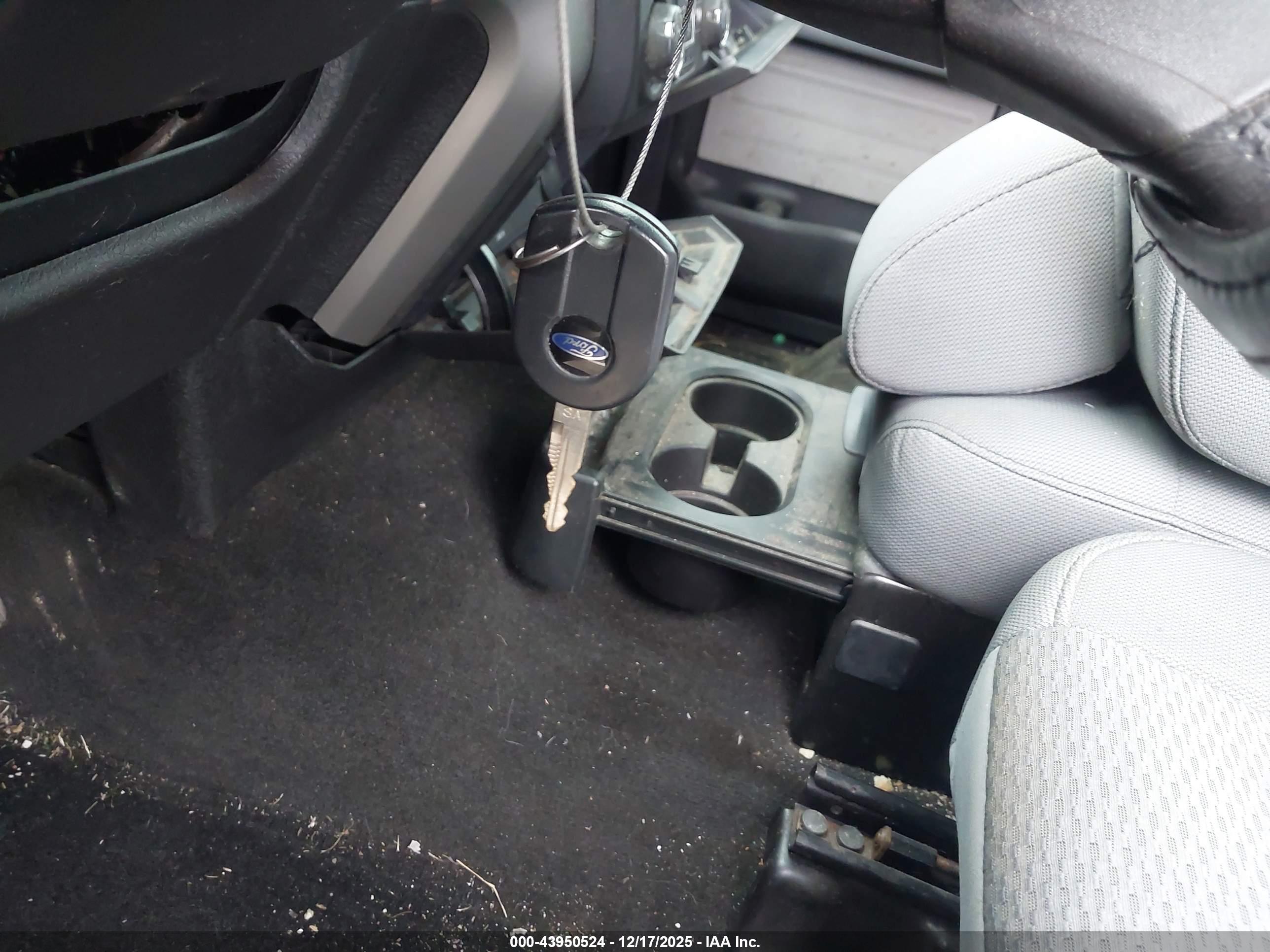 FORD F-150 image 11
