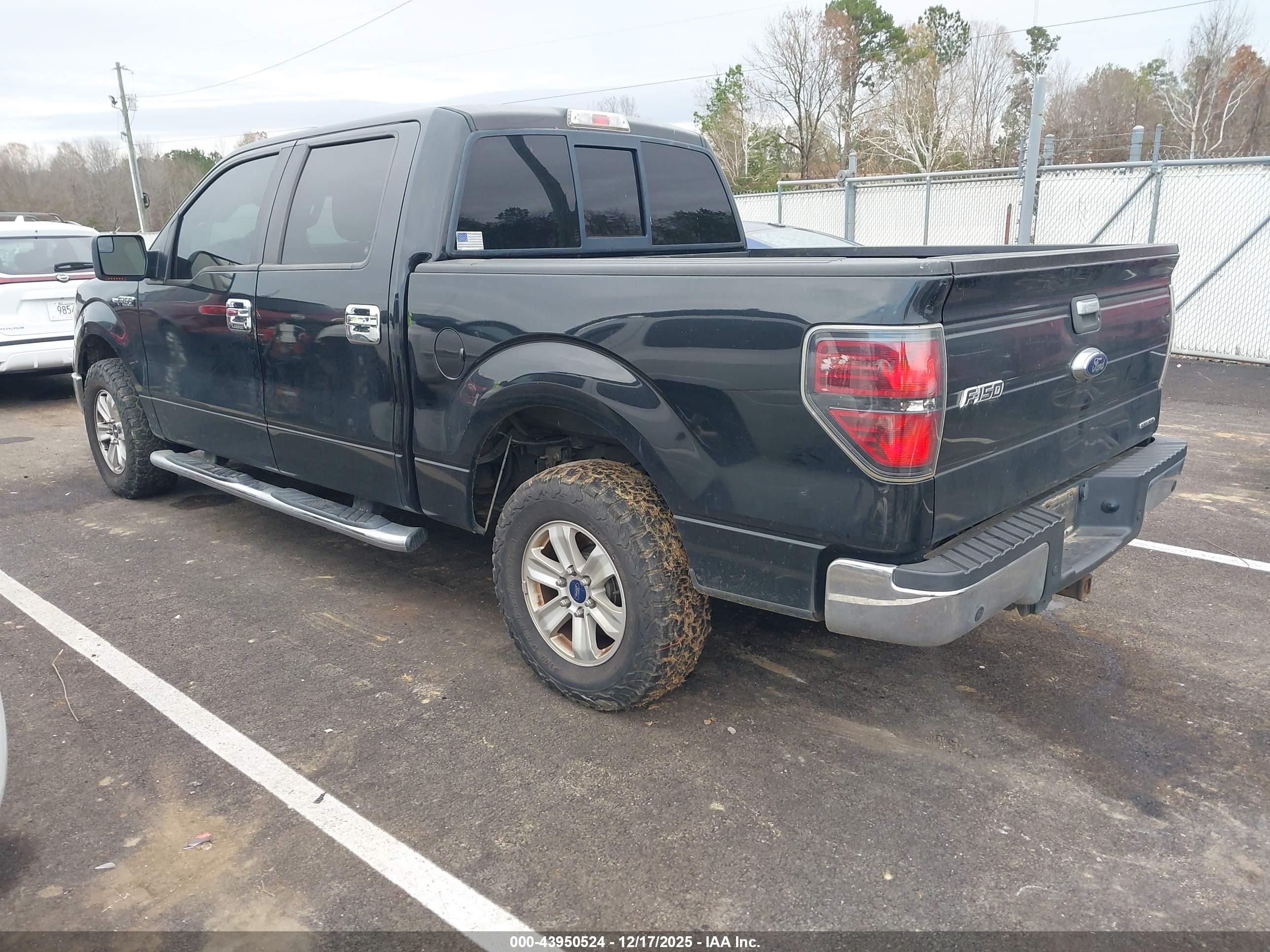 FORD F-150 image 3