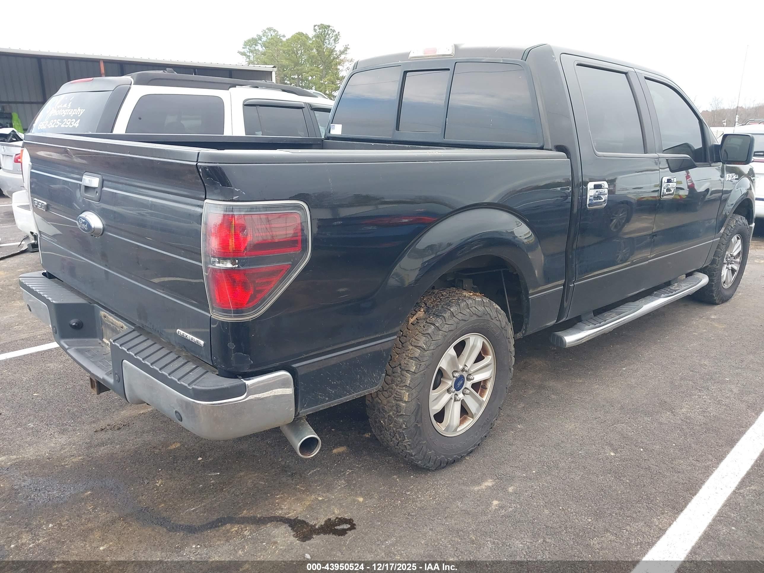 FORD F-150 image 4