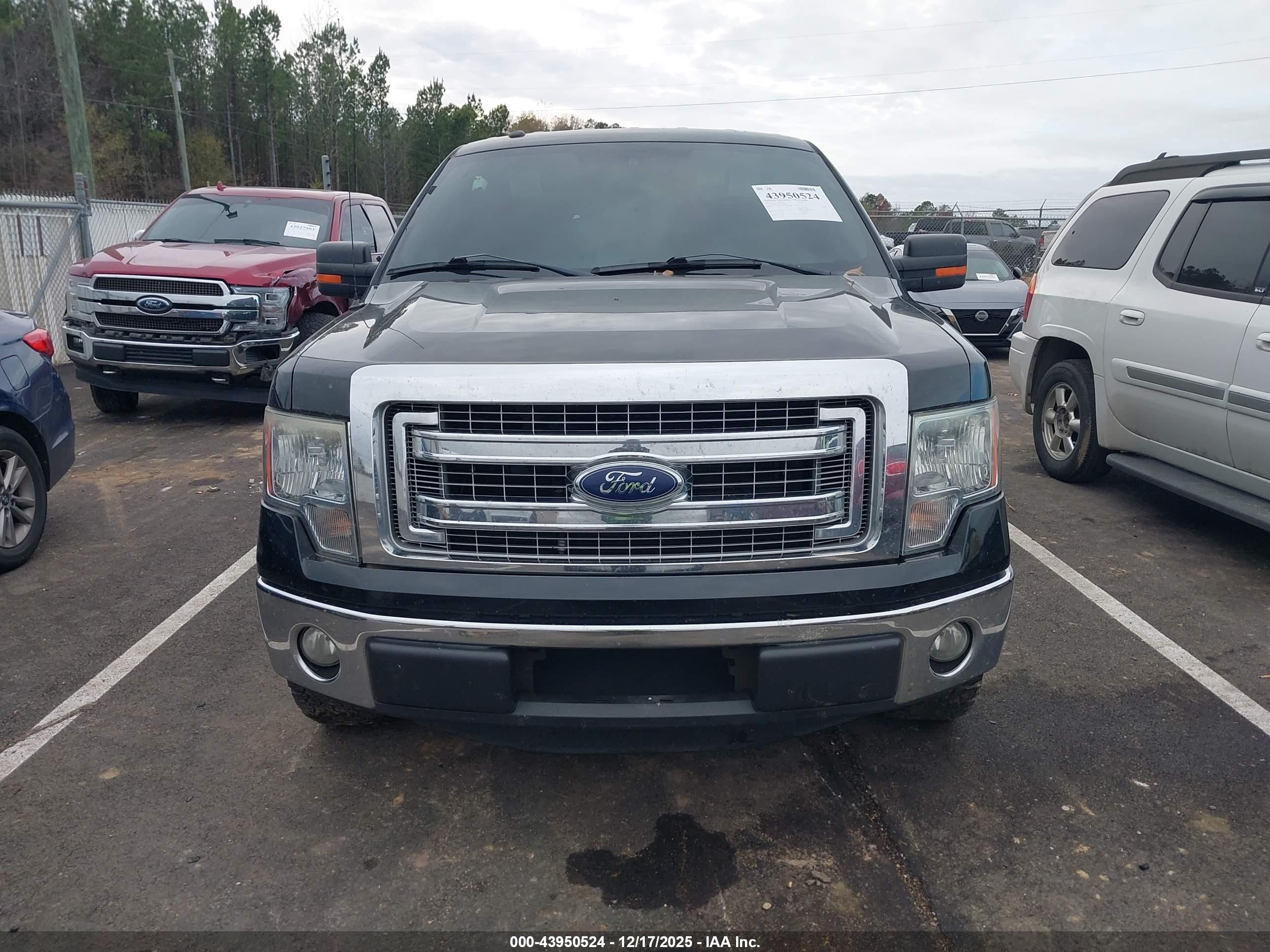 FORD F-150 image 6