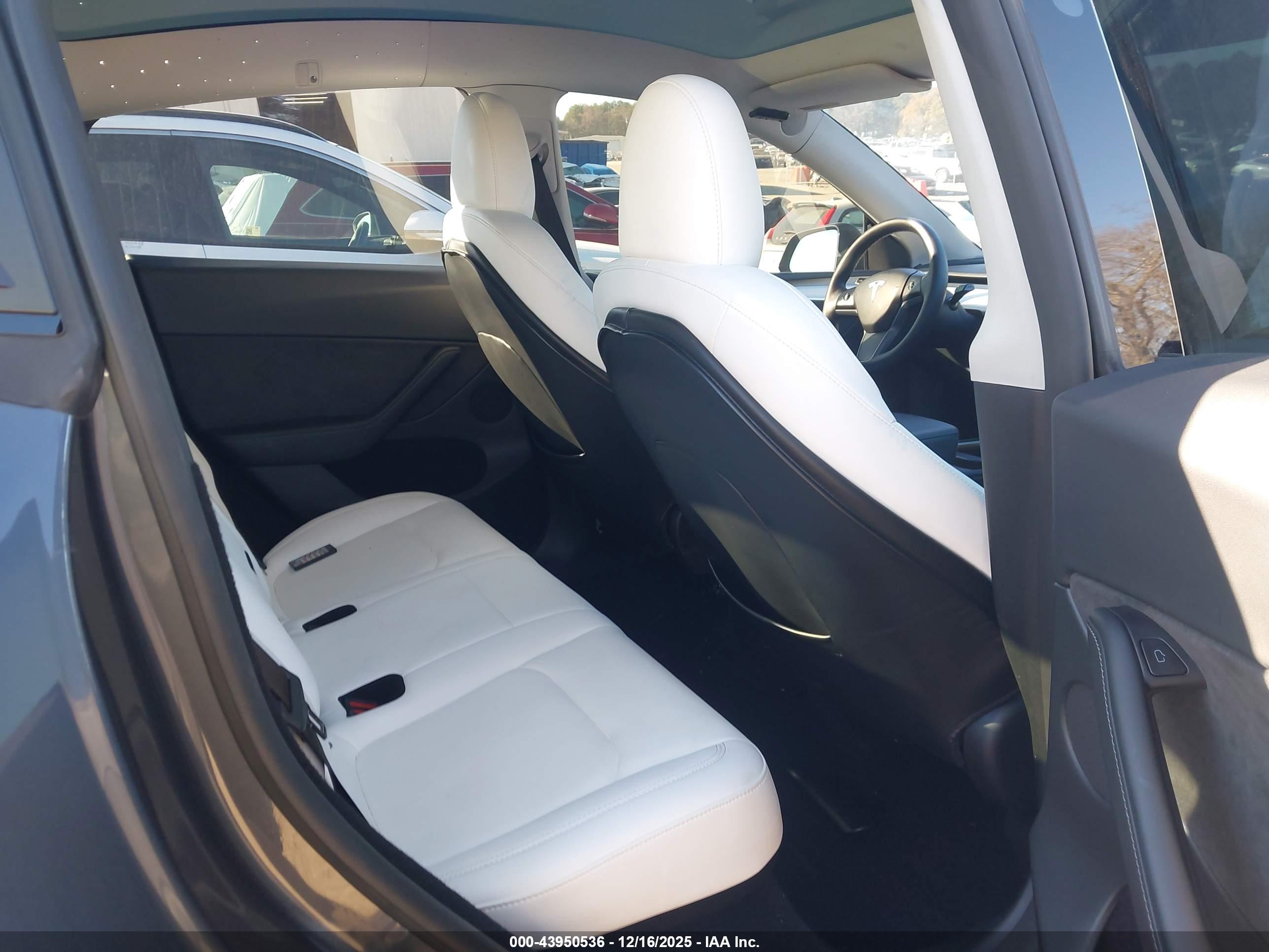 TESLA MODEL image 8