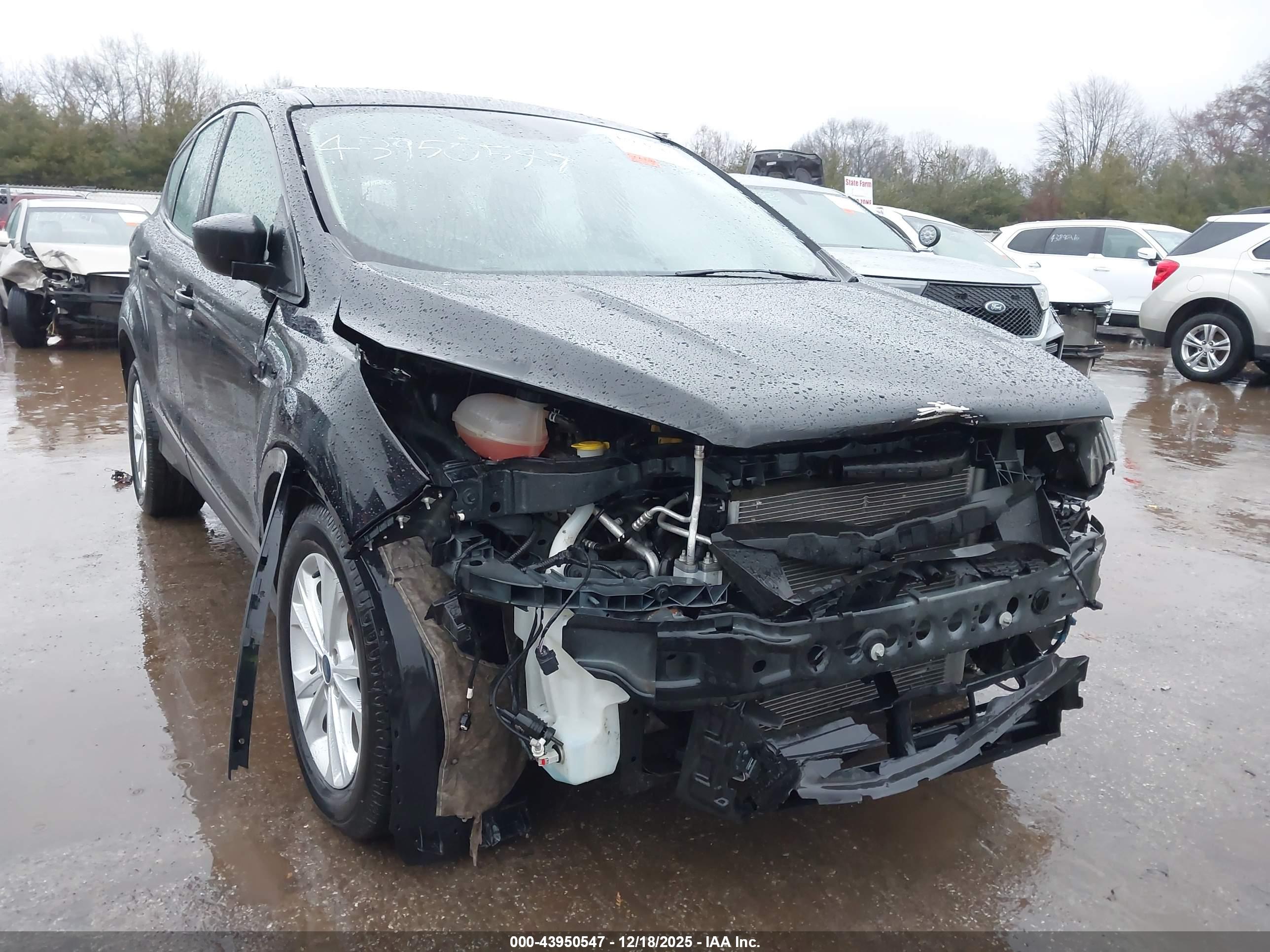 FORD ESCAPE image 6