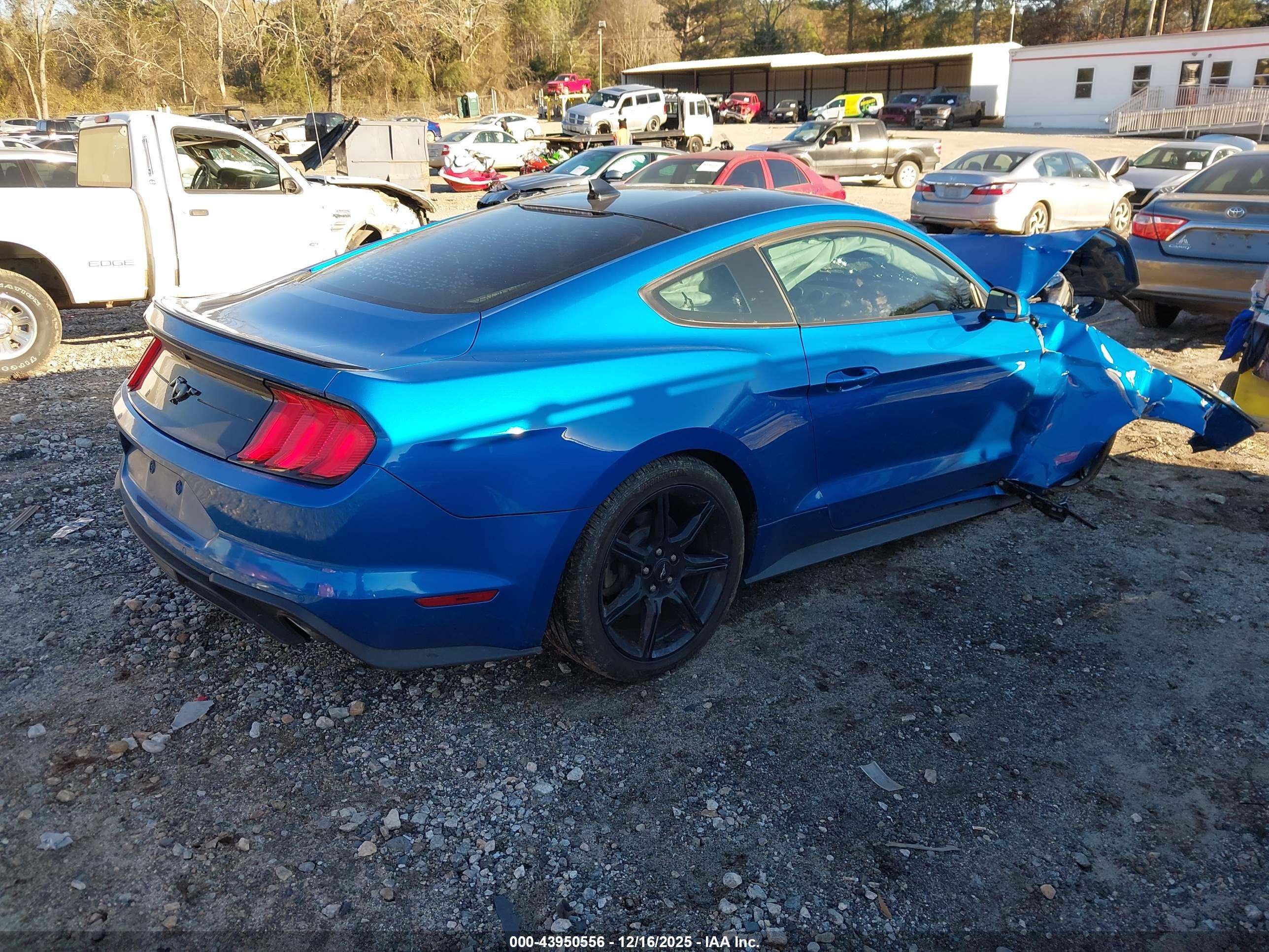 FORD MUSTANG image 4