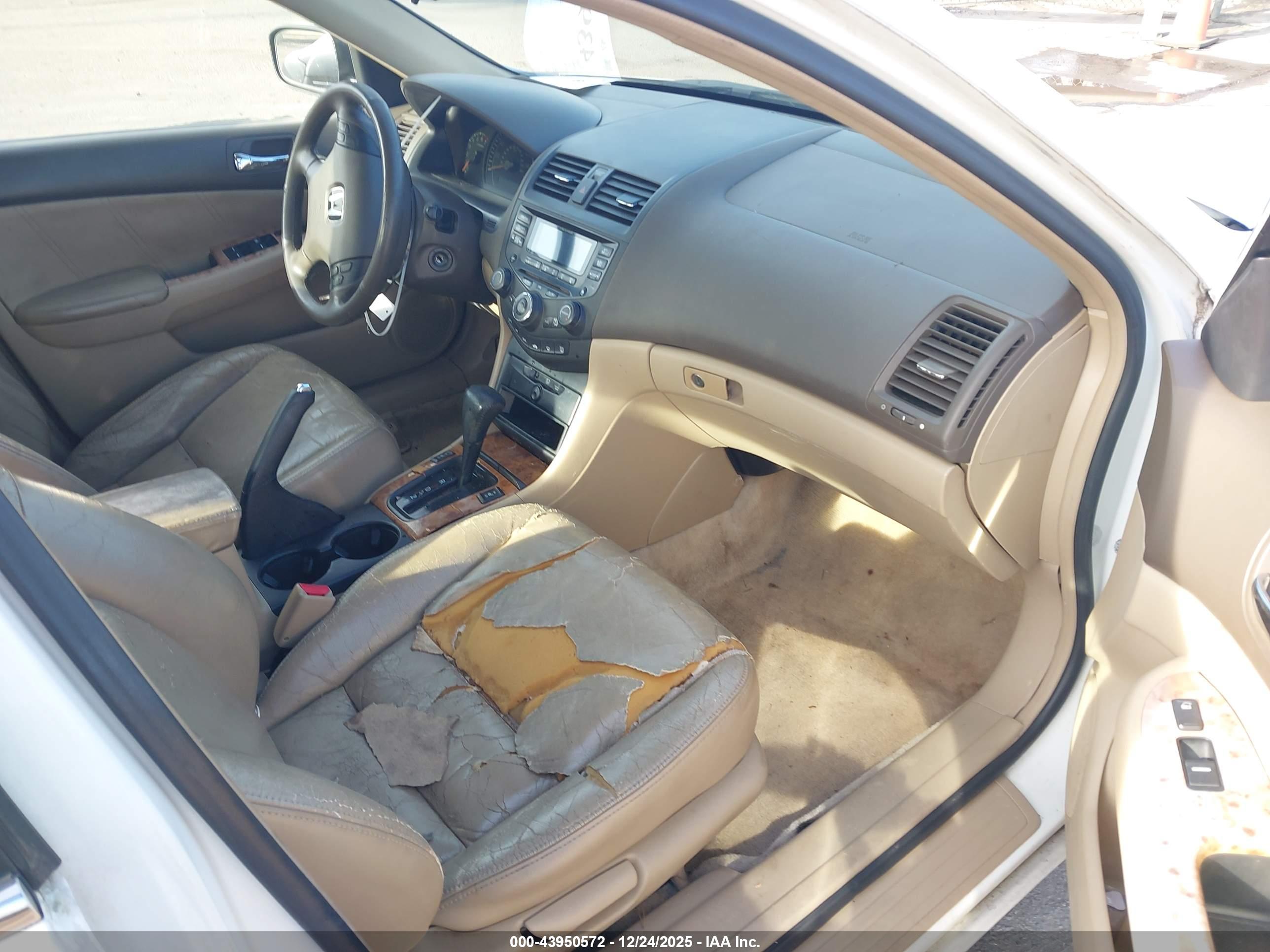 HONDA ACCORD image 5