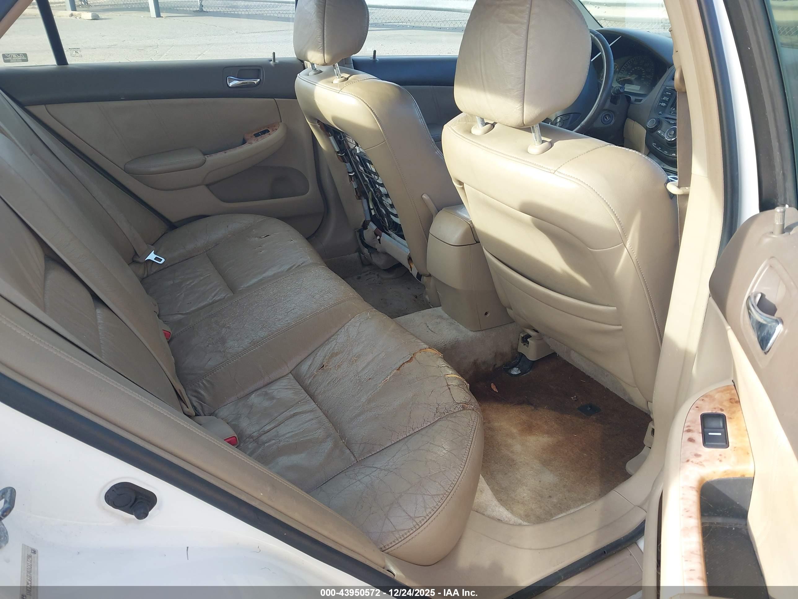 HONDA ACCORD image 8