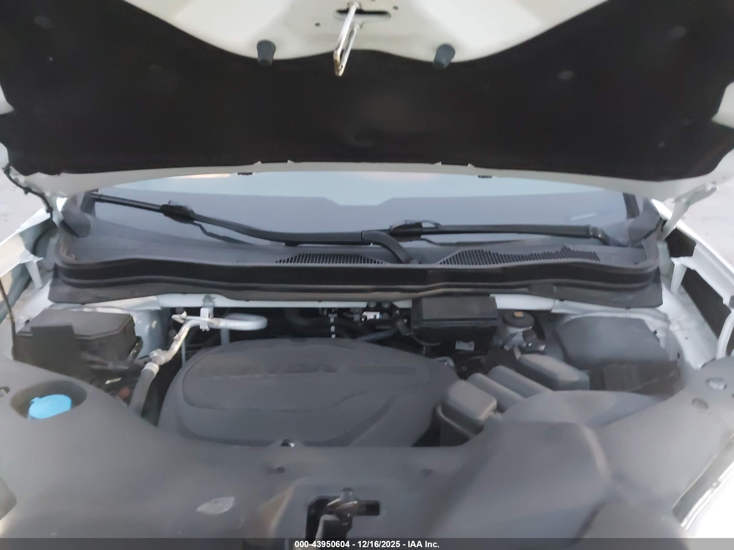HONDA PASSPORT image 10