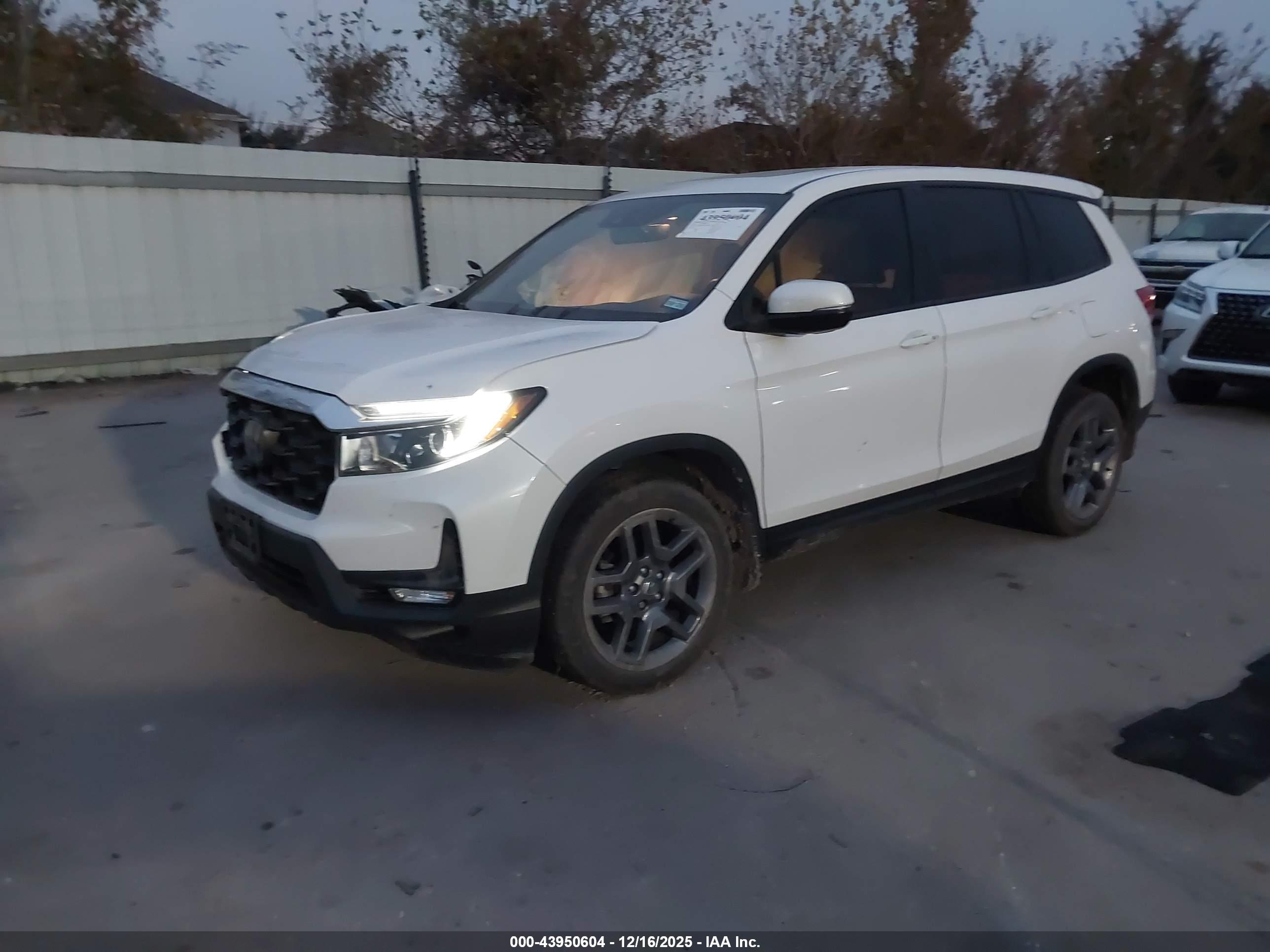 HONDA PASSPORT image 2