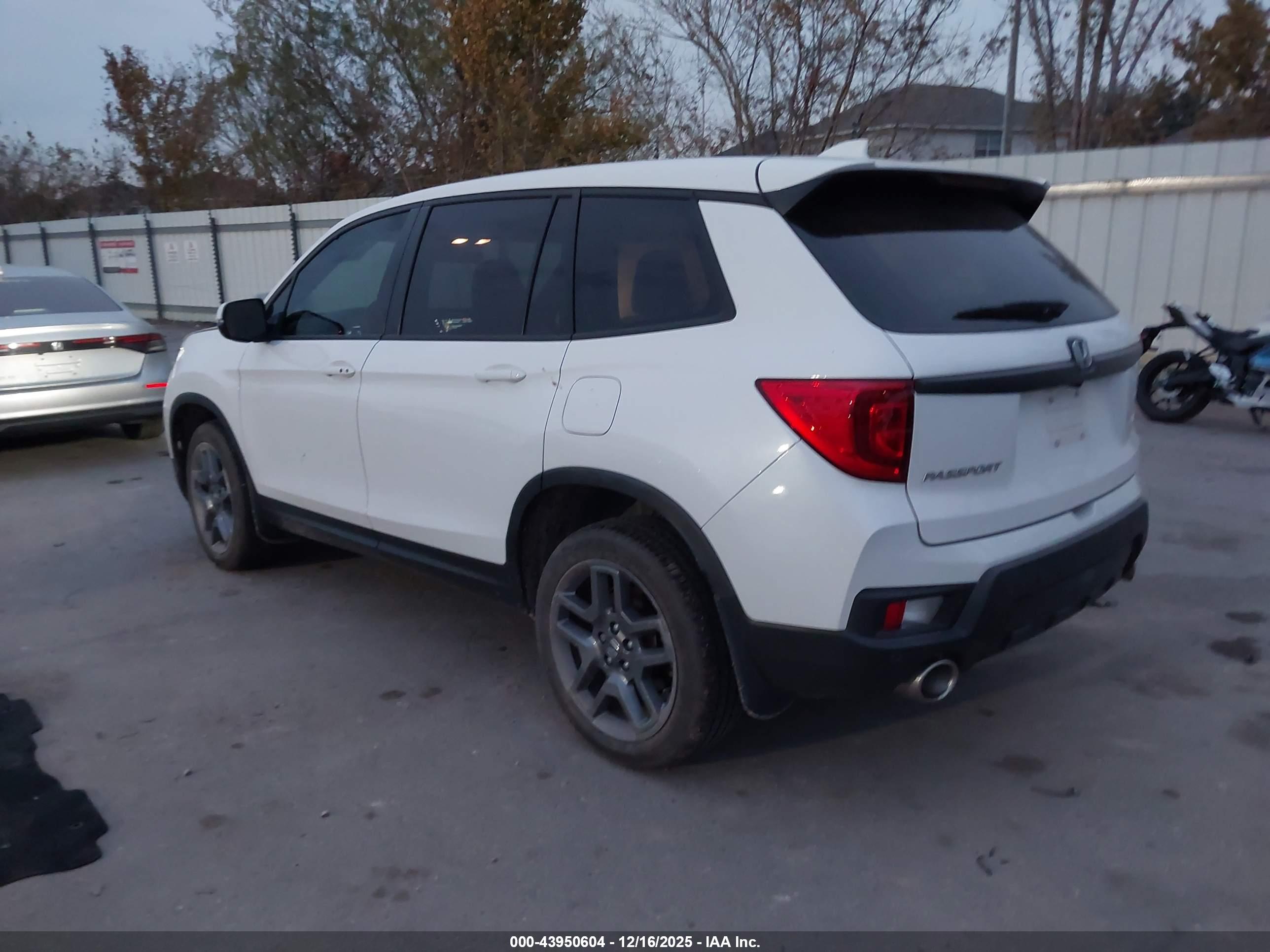 HONDA PASSPORT image 3