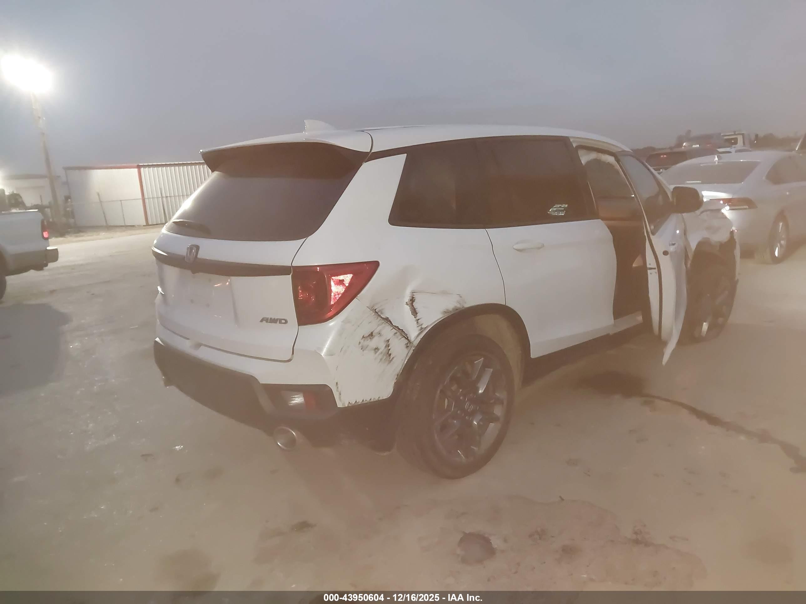 HONDA PASSPORT image 4